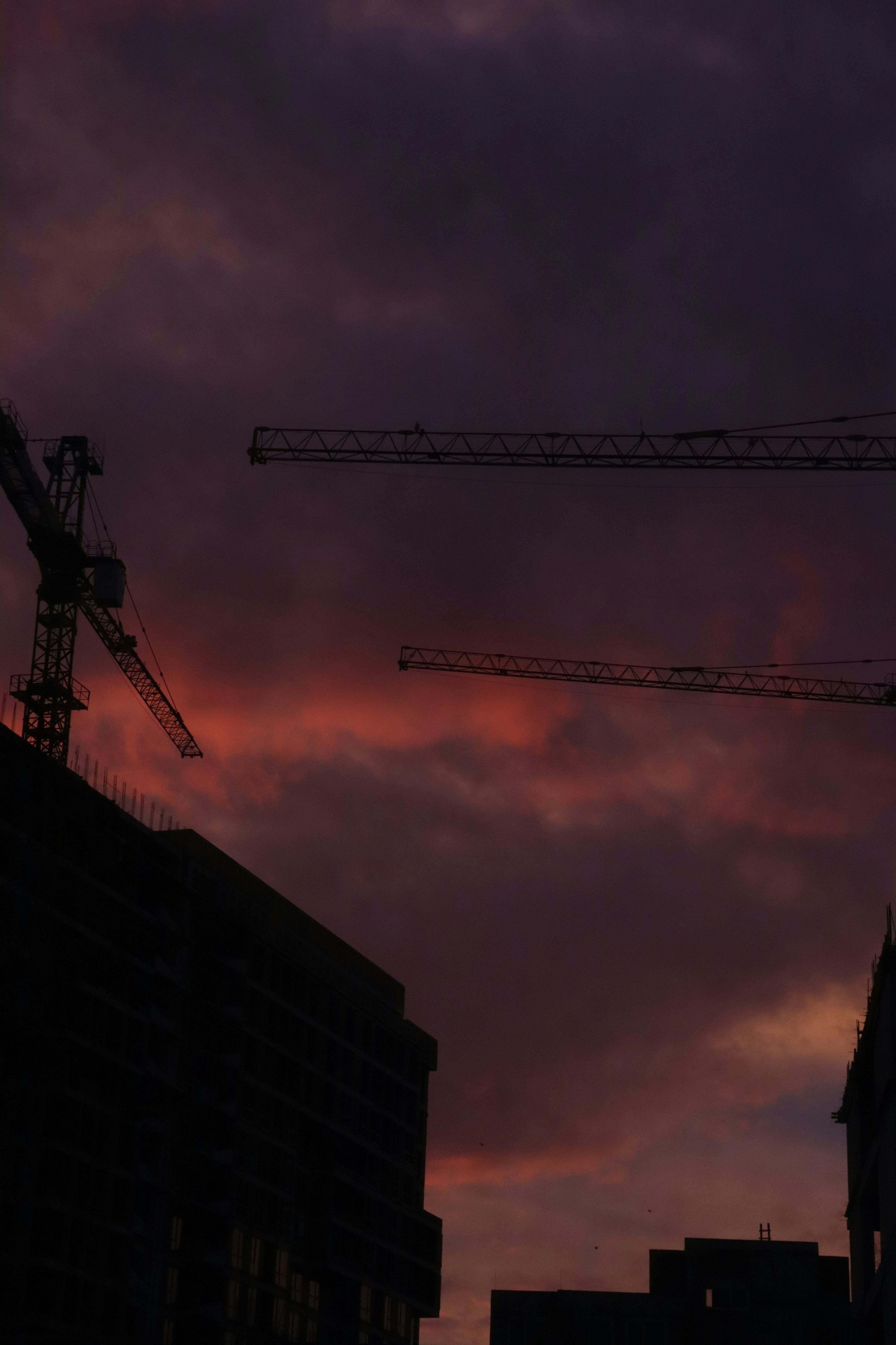 Photo by bored_mongoose