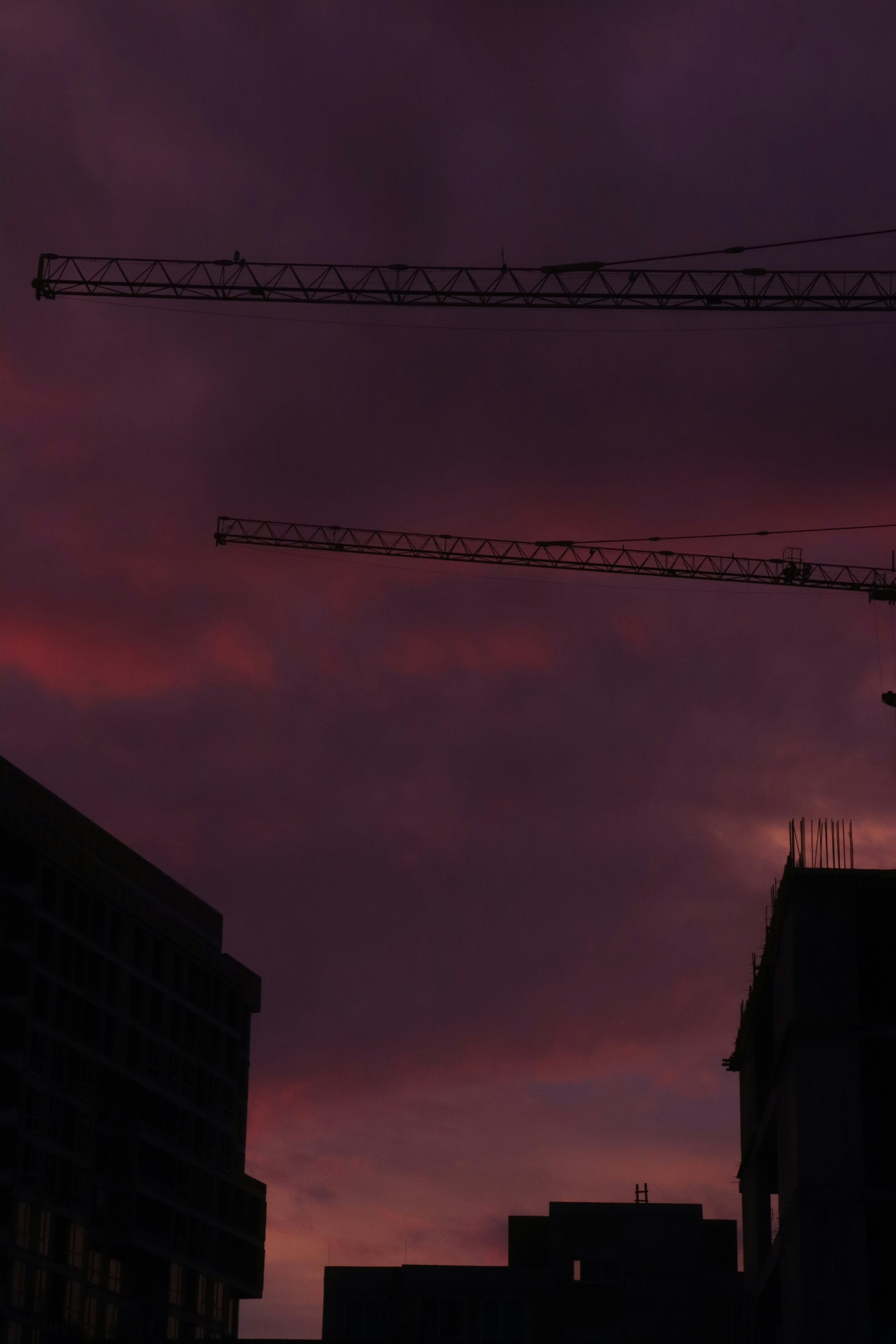 Photo by bored_mongoose