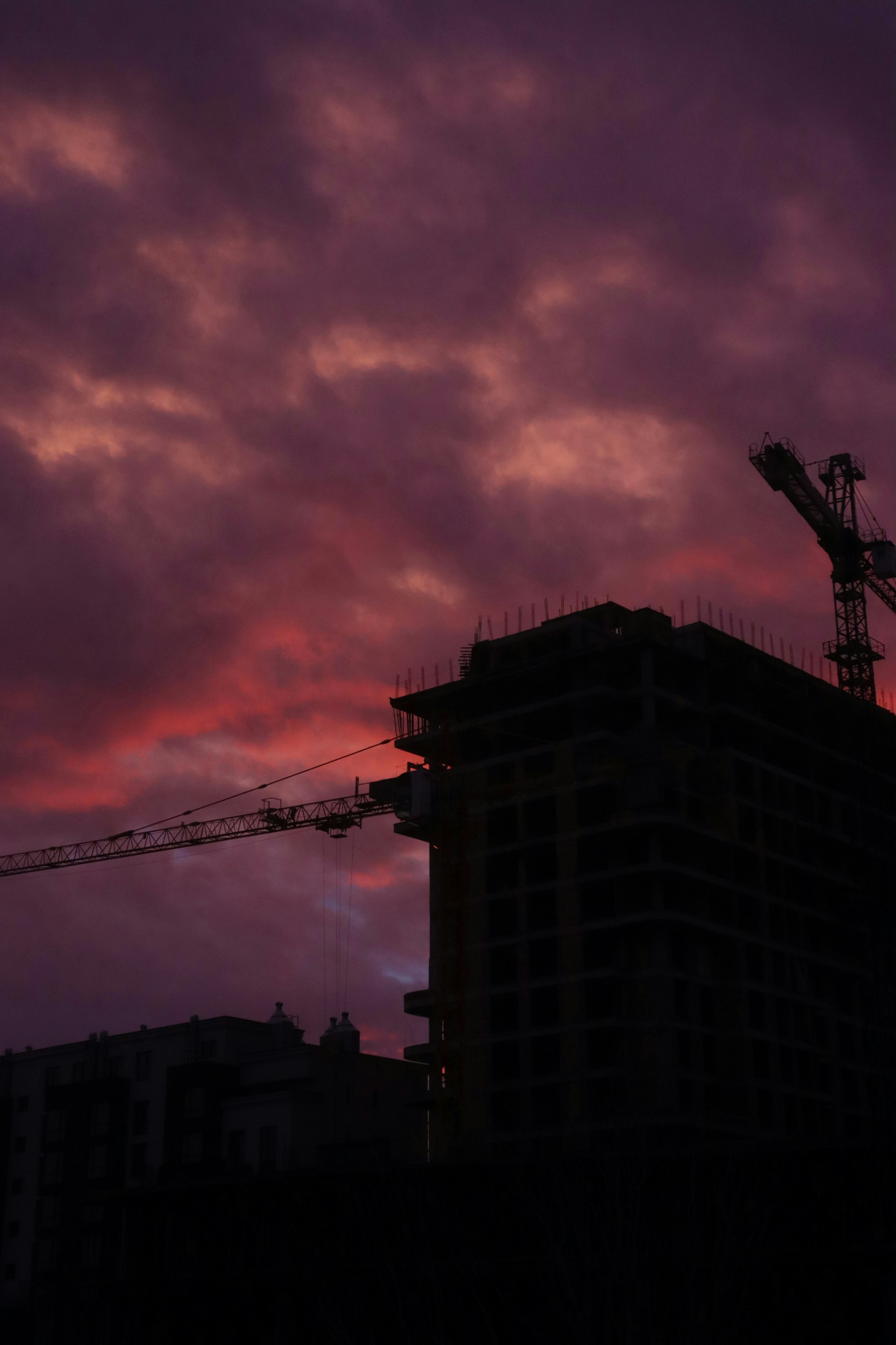 Photo by bored_mongoose