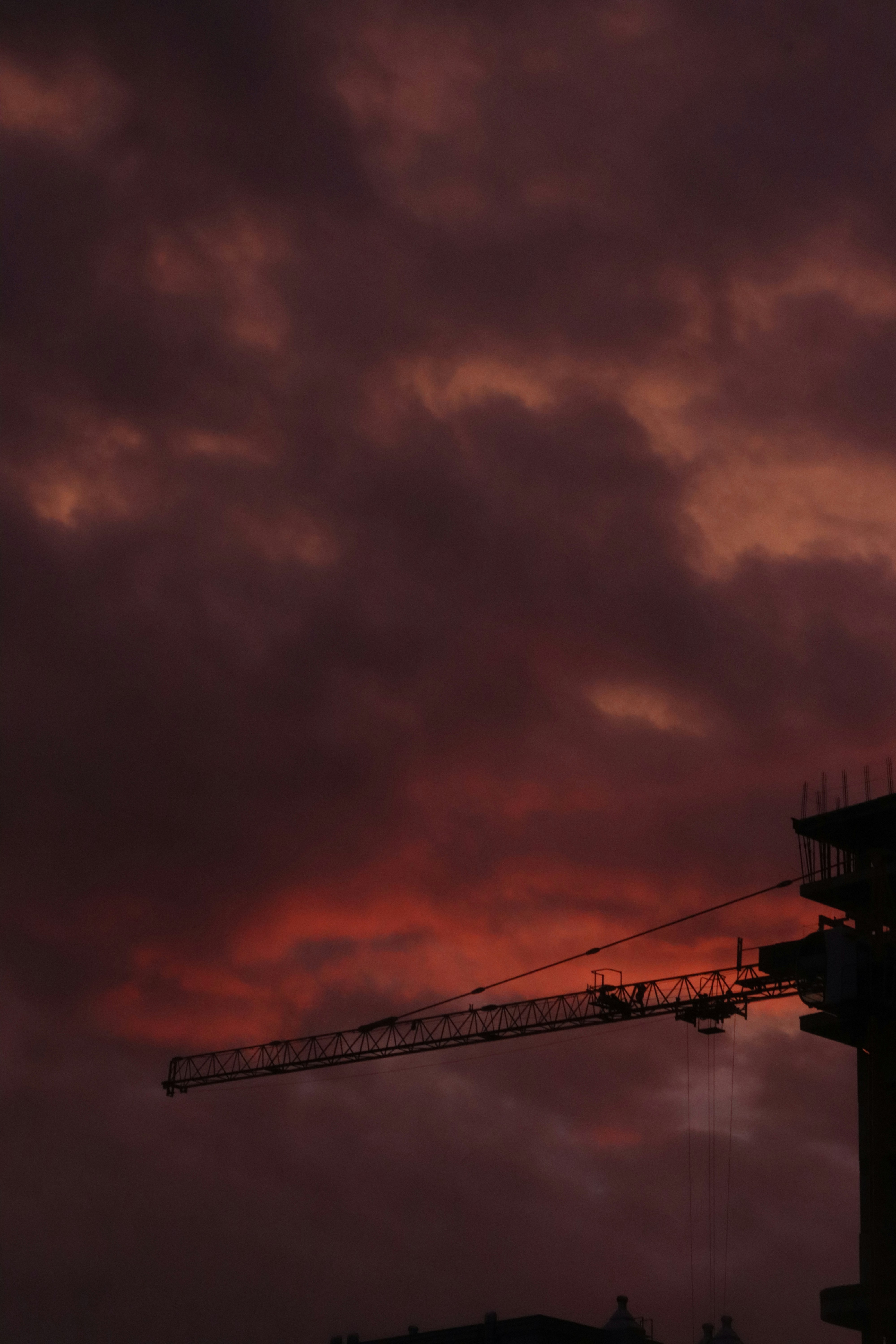 Photo by bored_mongoose