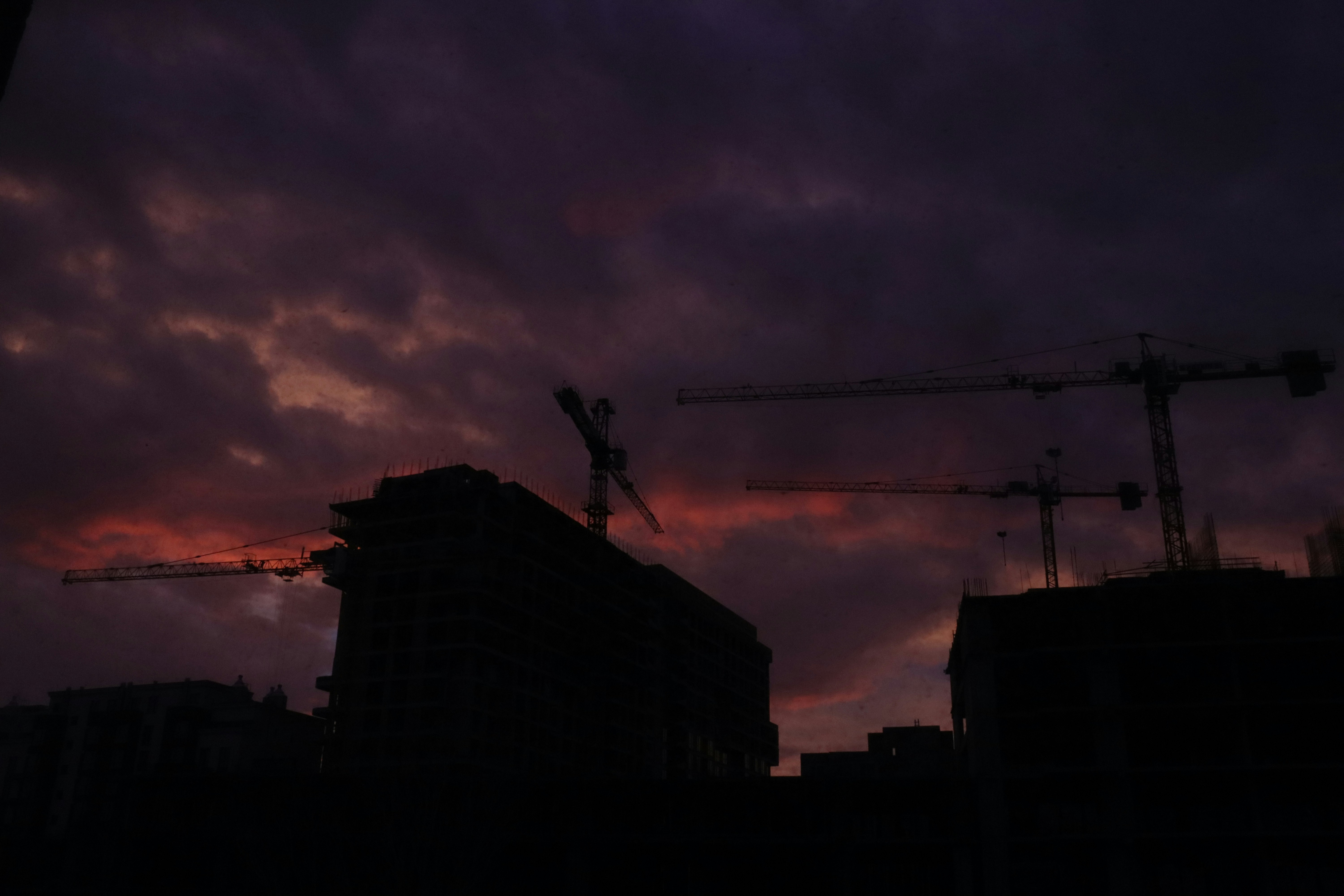 Photo by bored_mongoose