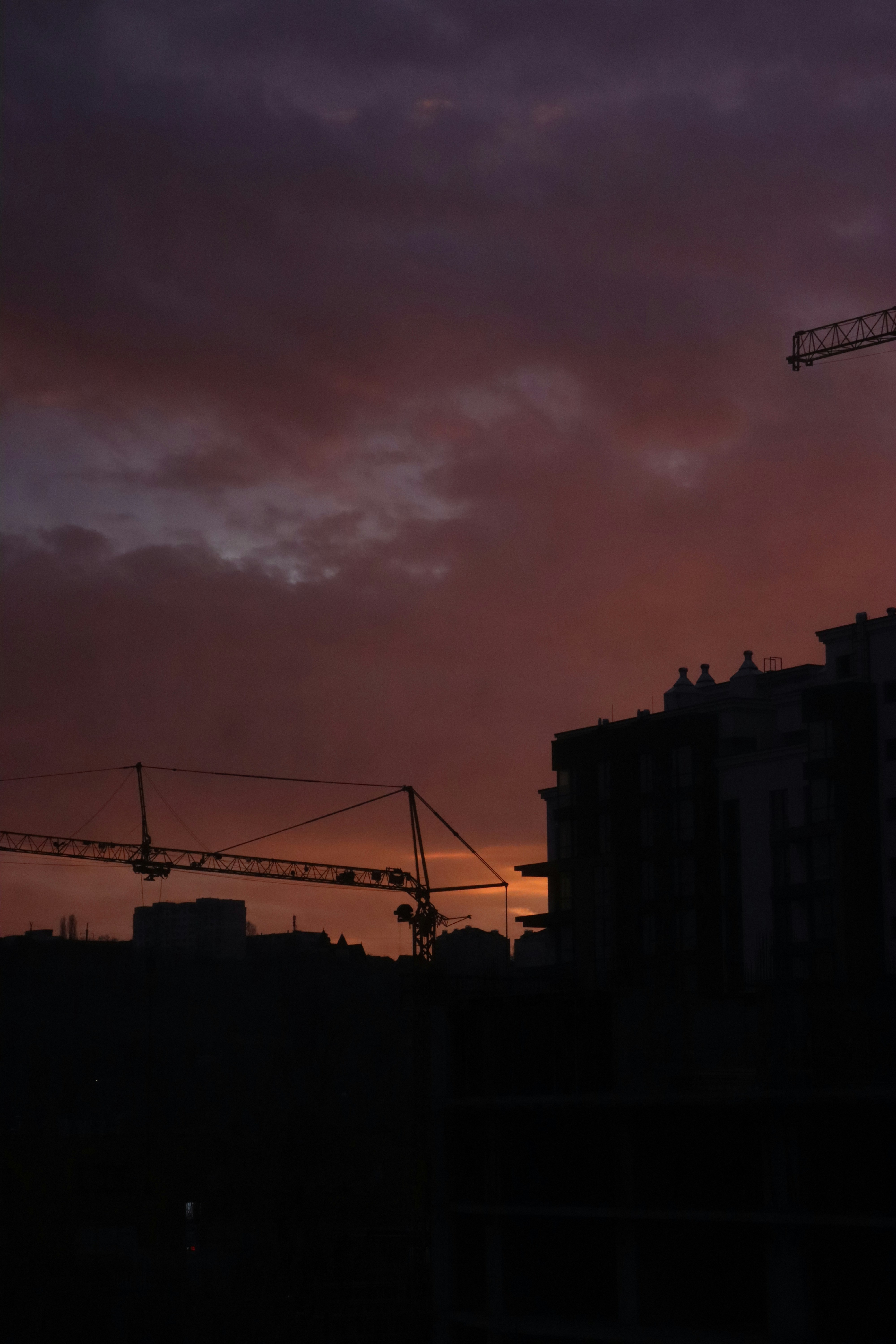 Photo by bored_mongoose