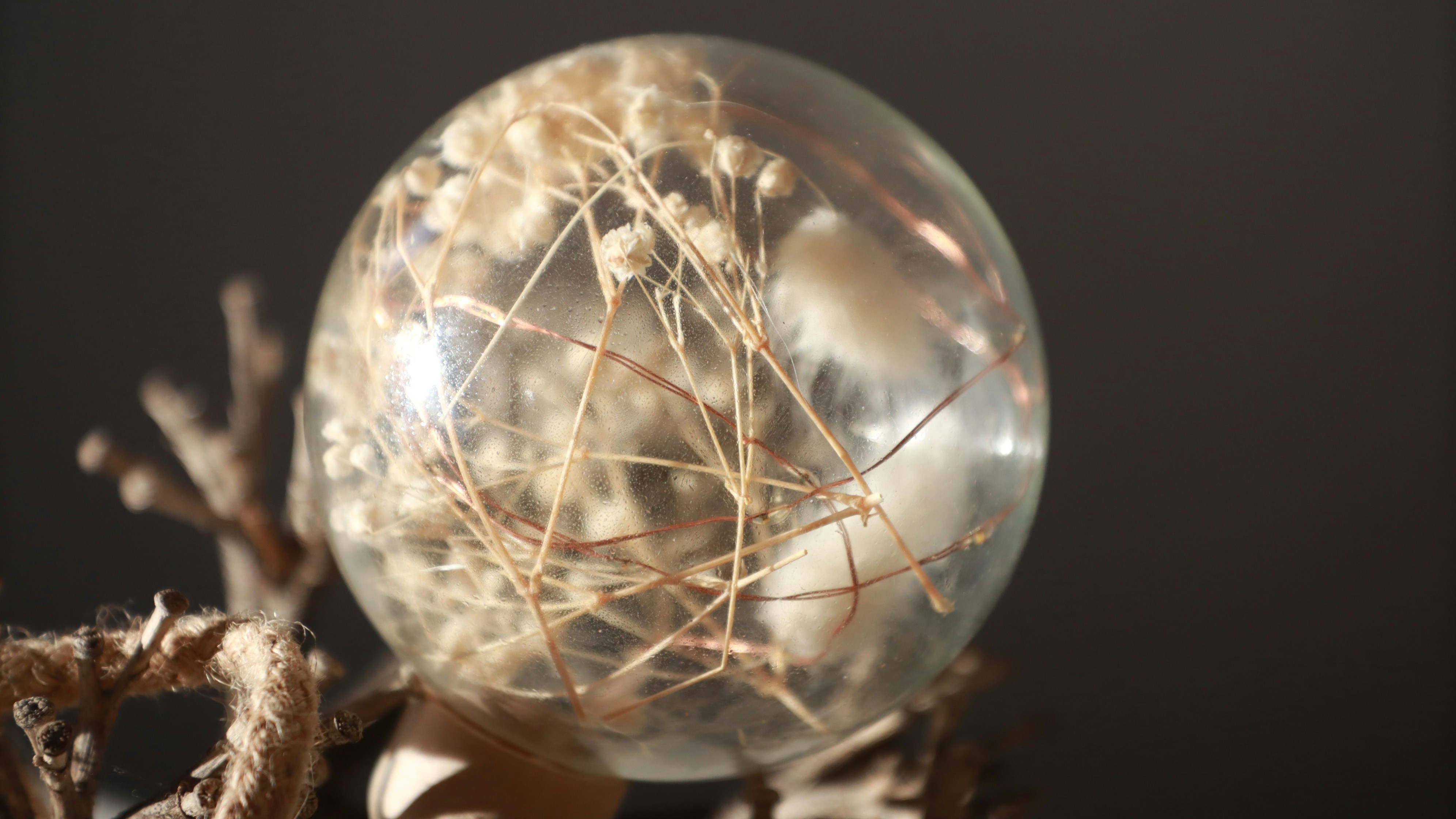 Photo by cuentocreacion