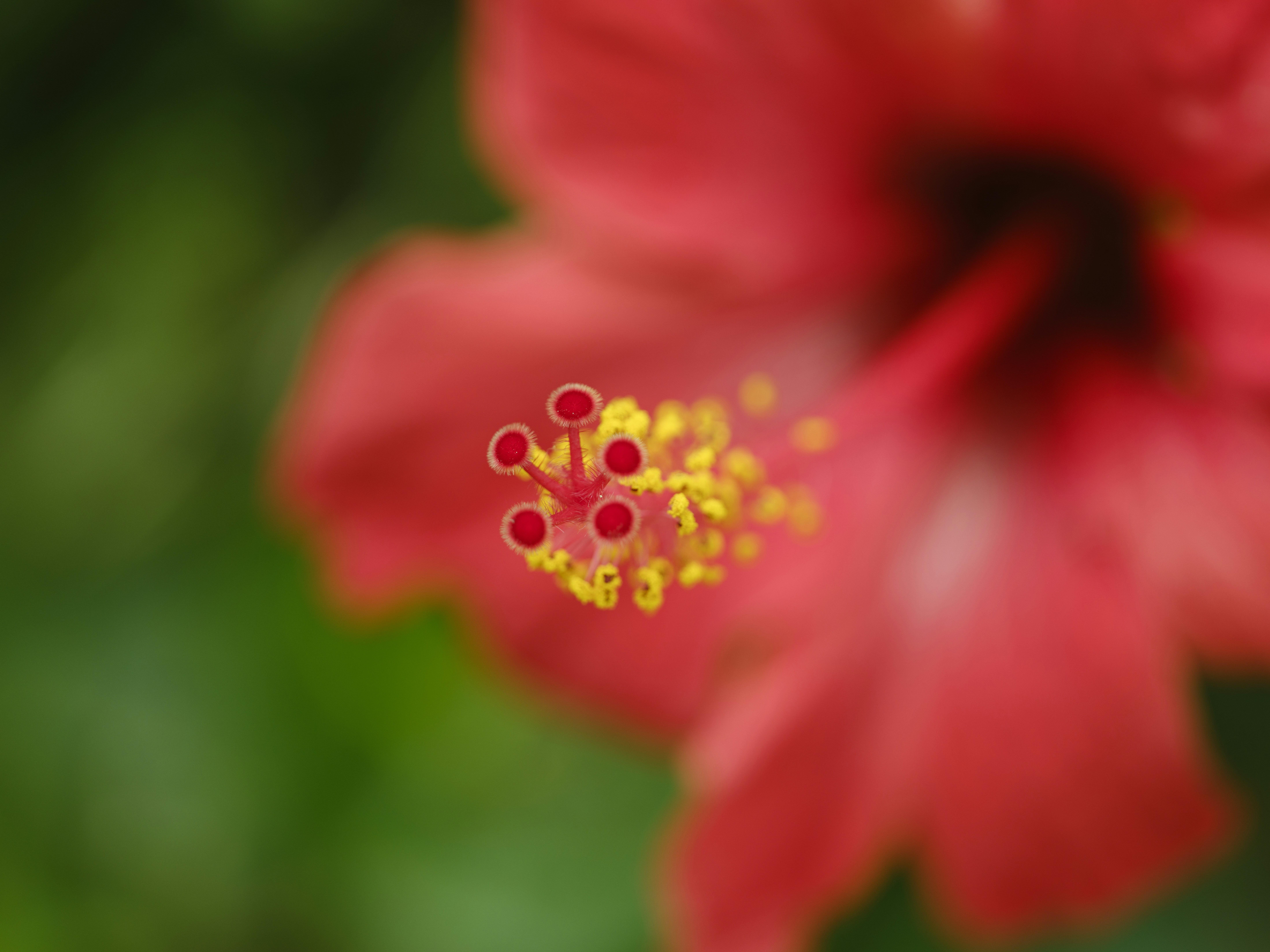 Photo by enginakyurt