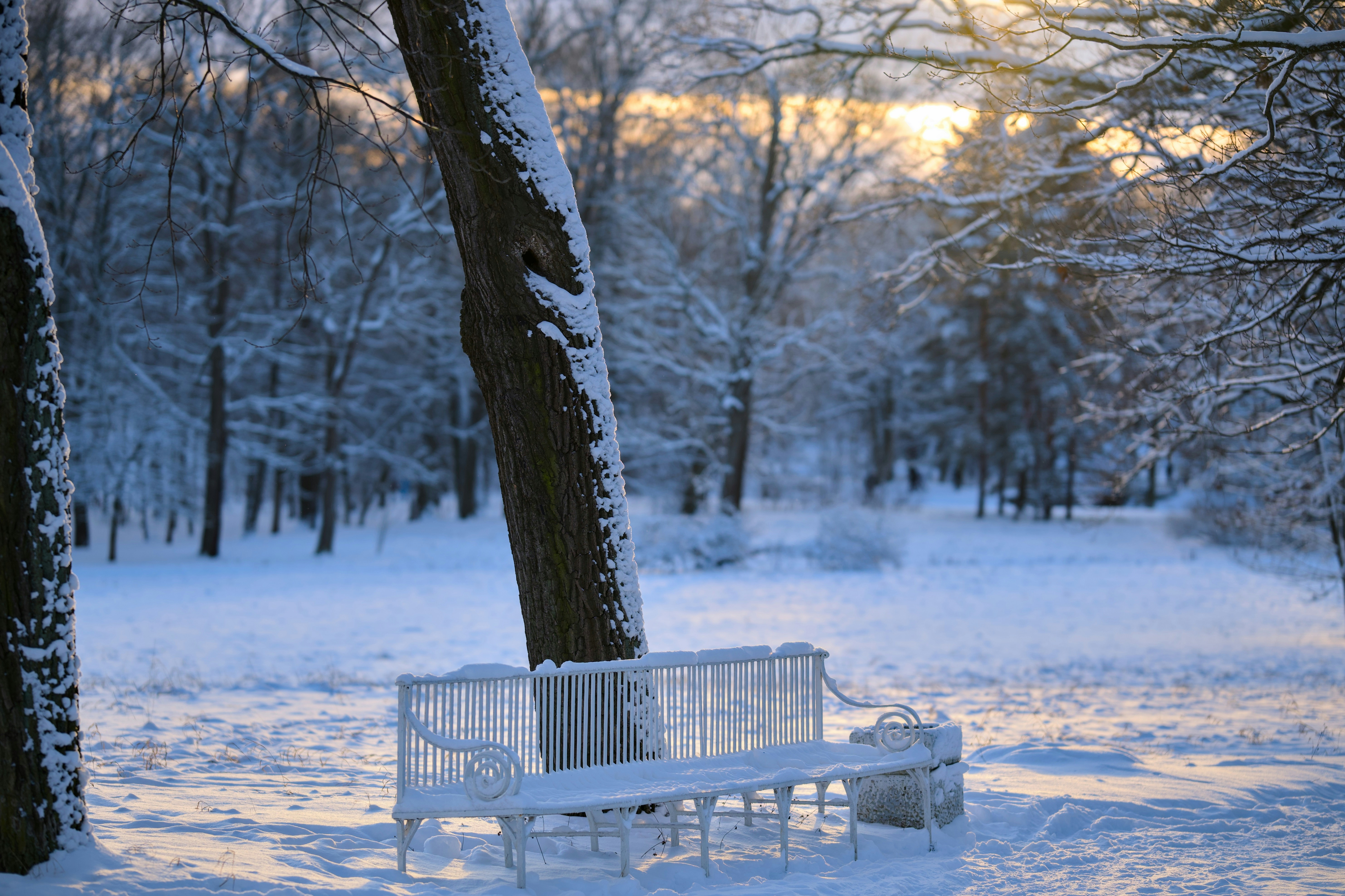 Cozy Snowy Sunday Quotes to Warm Your Winter Soul Today