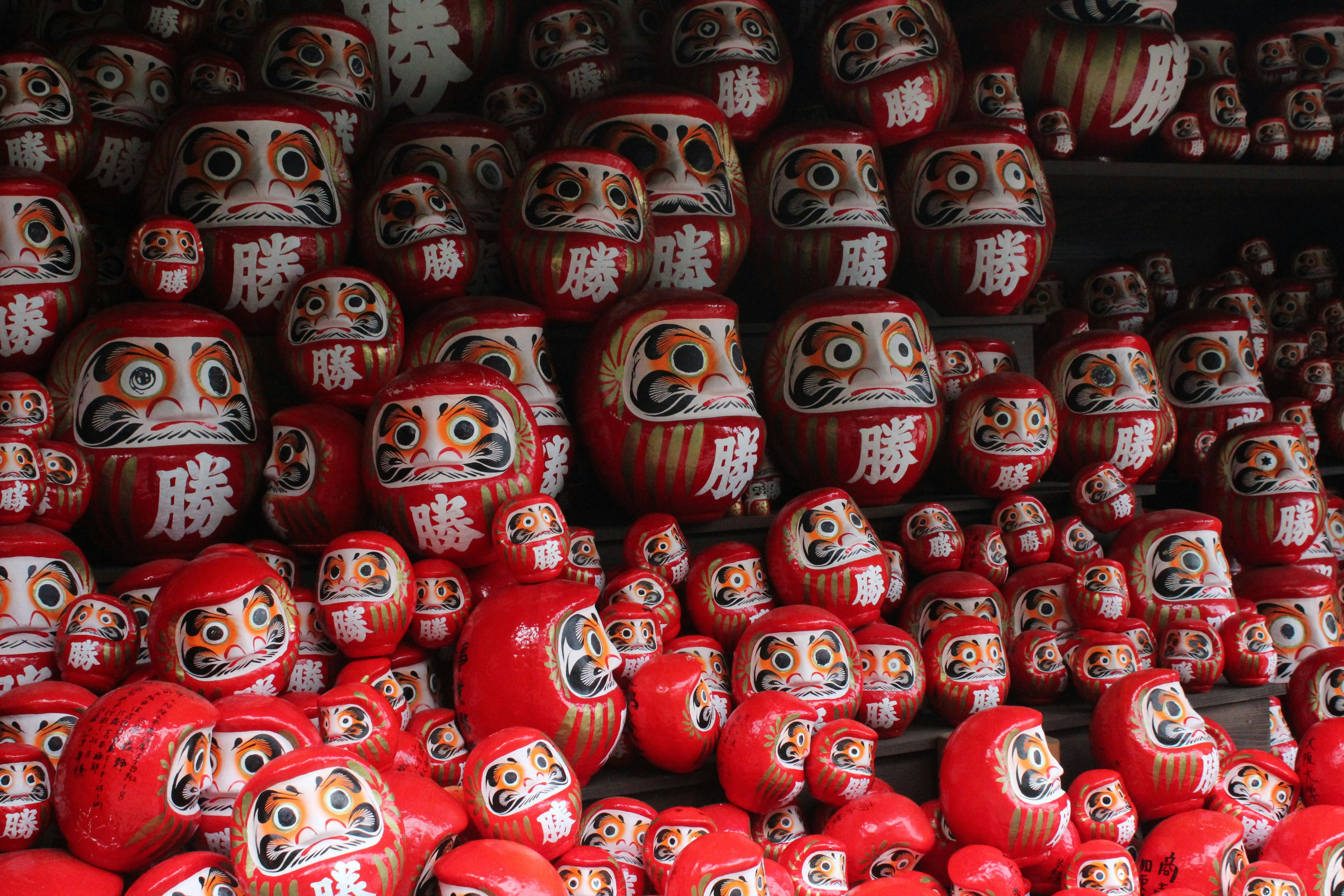 Photo by issydoherty