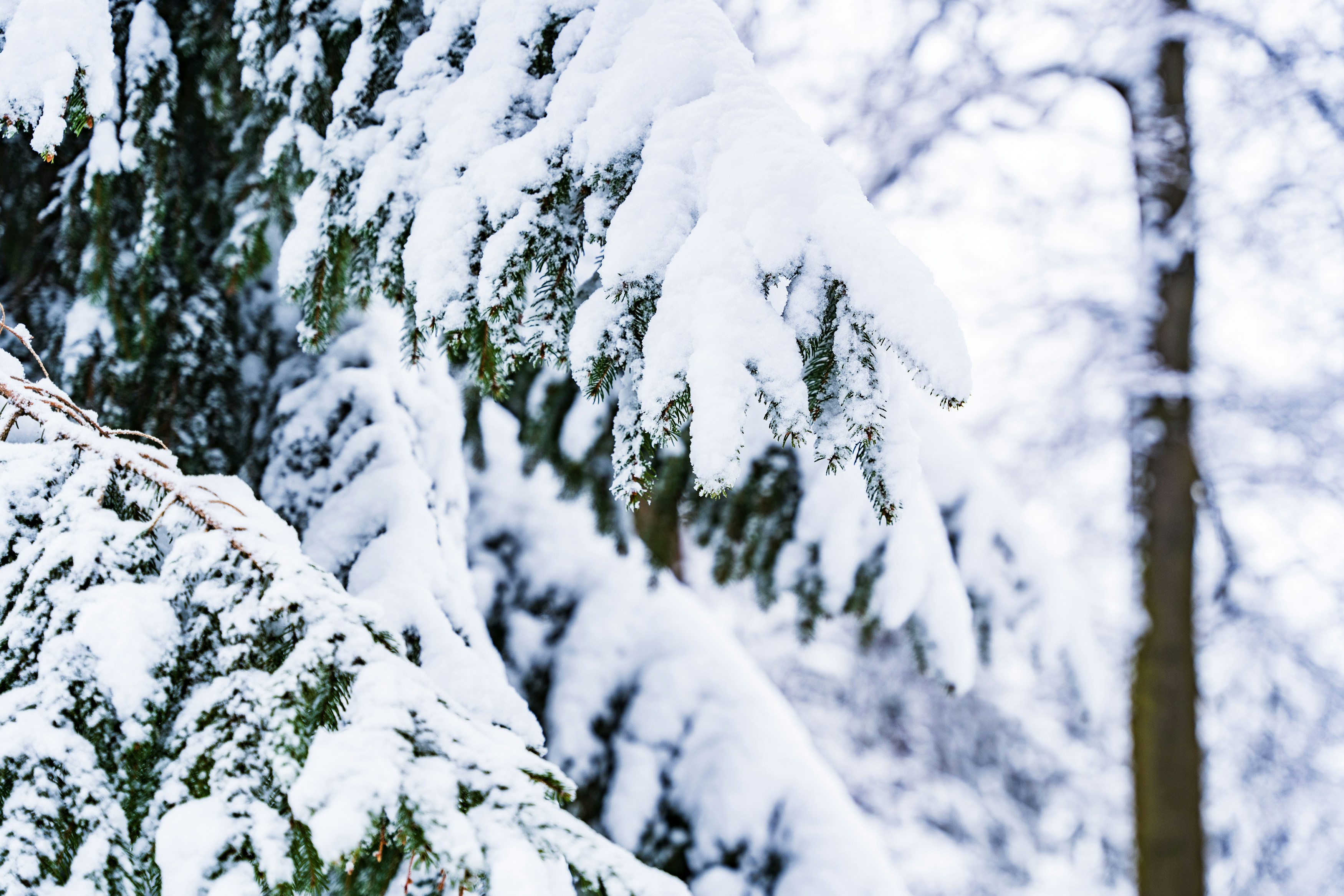 Photo by masoodaslami