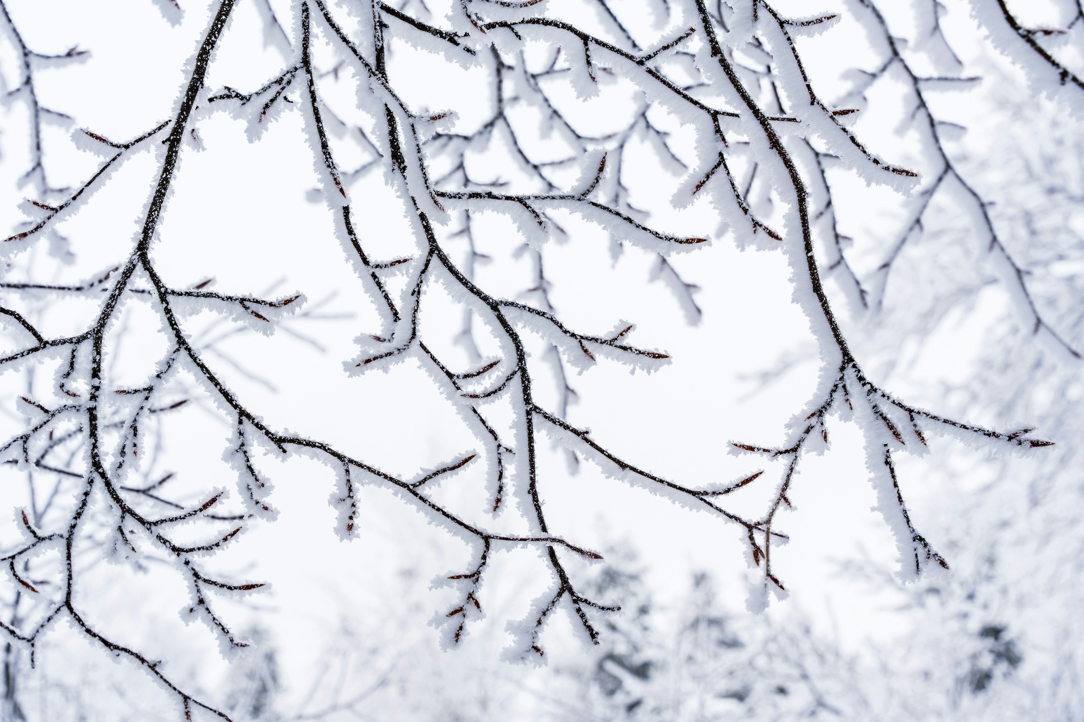 Photo by masoodaslami