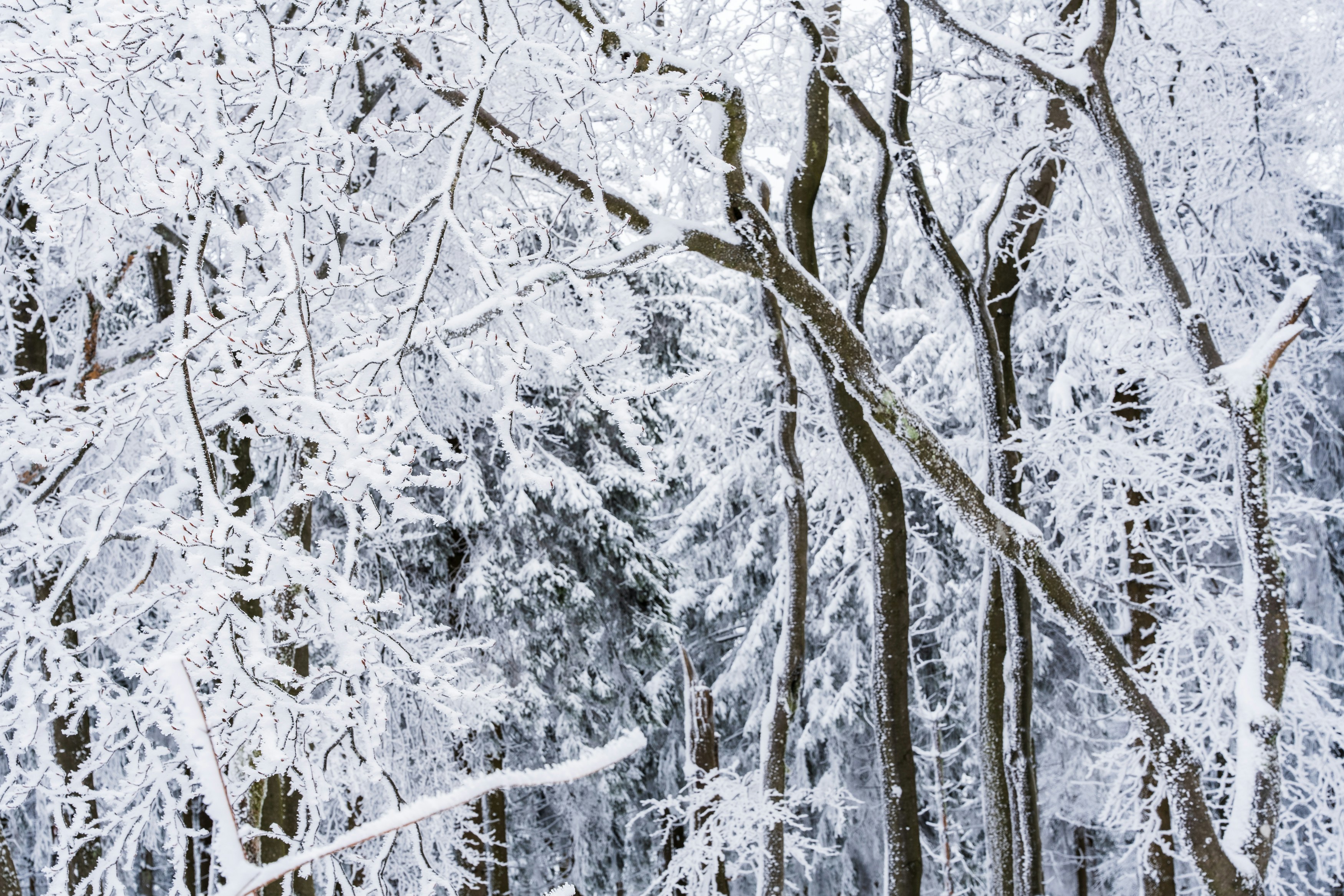 Photo by masoodaslami