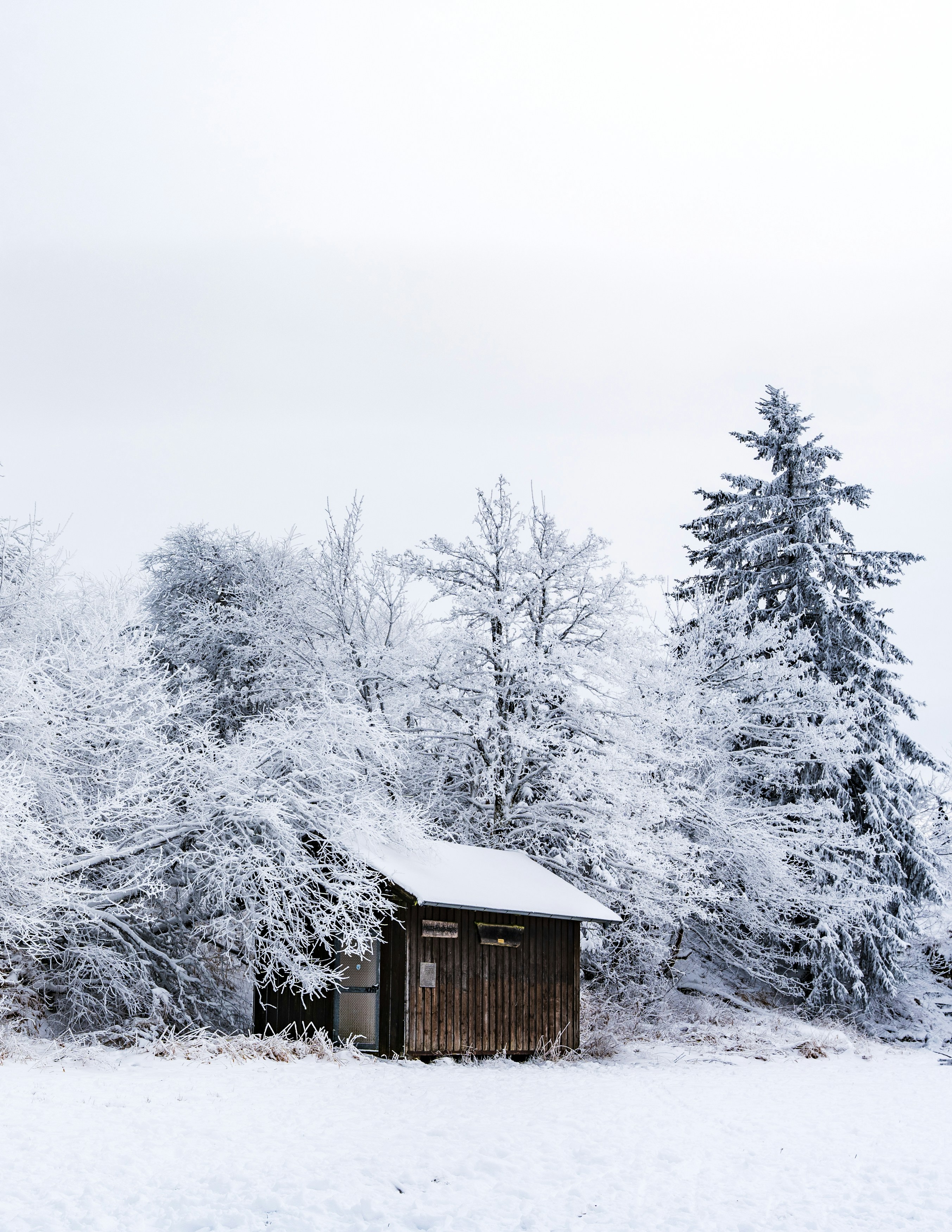 Photo by masoodaslami