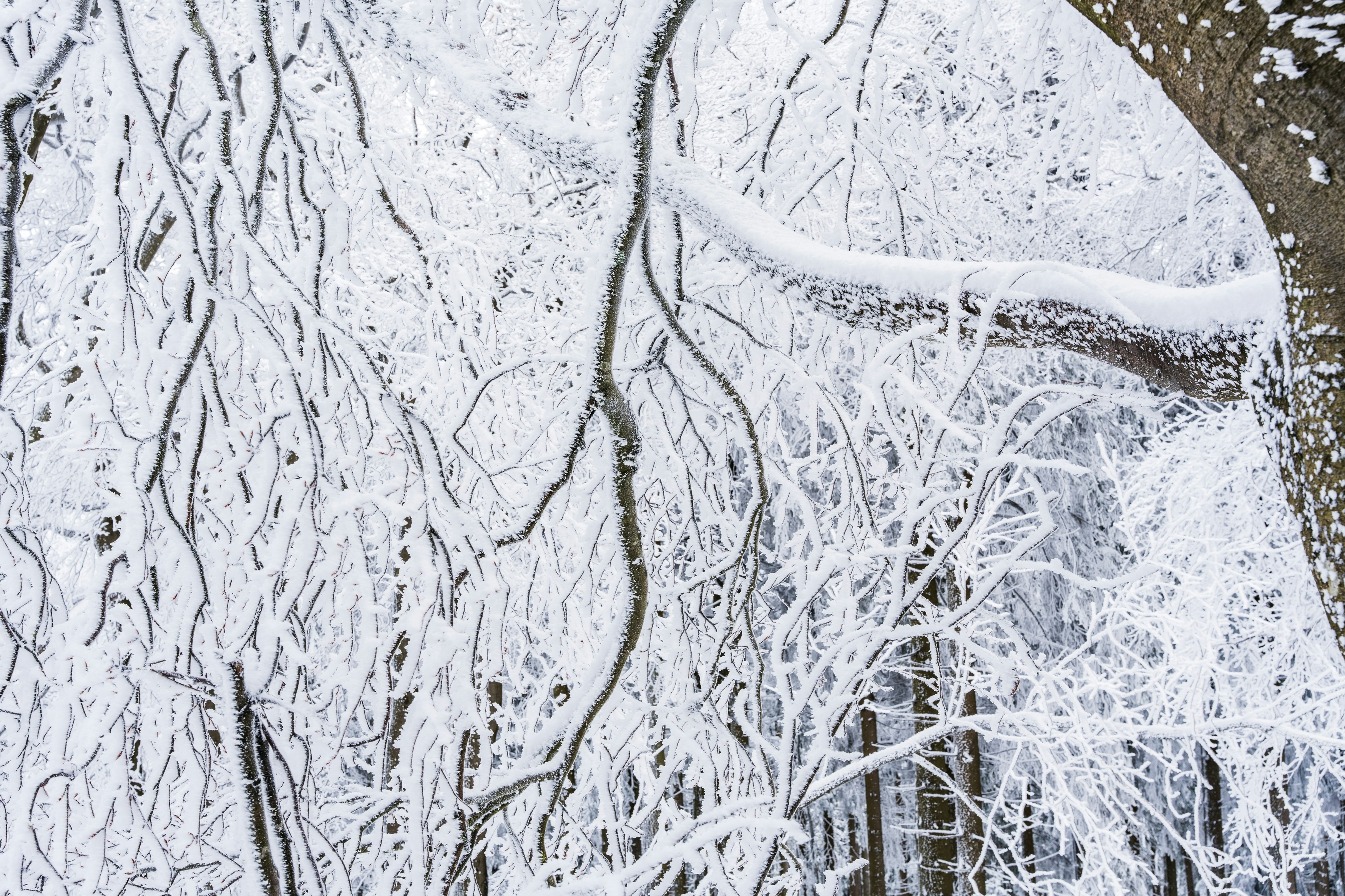 Photo by masoodaslami