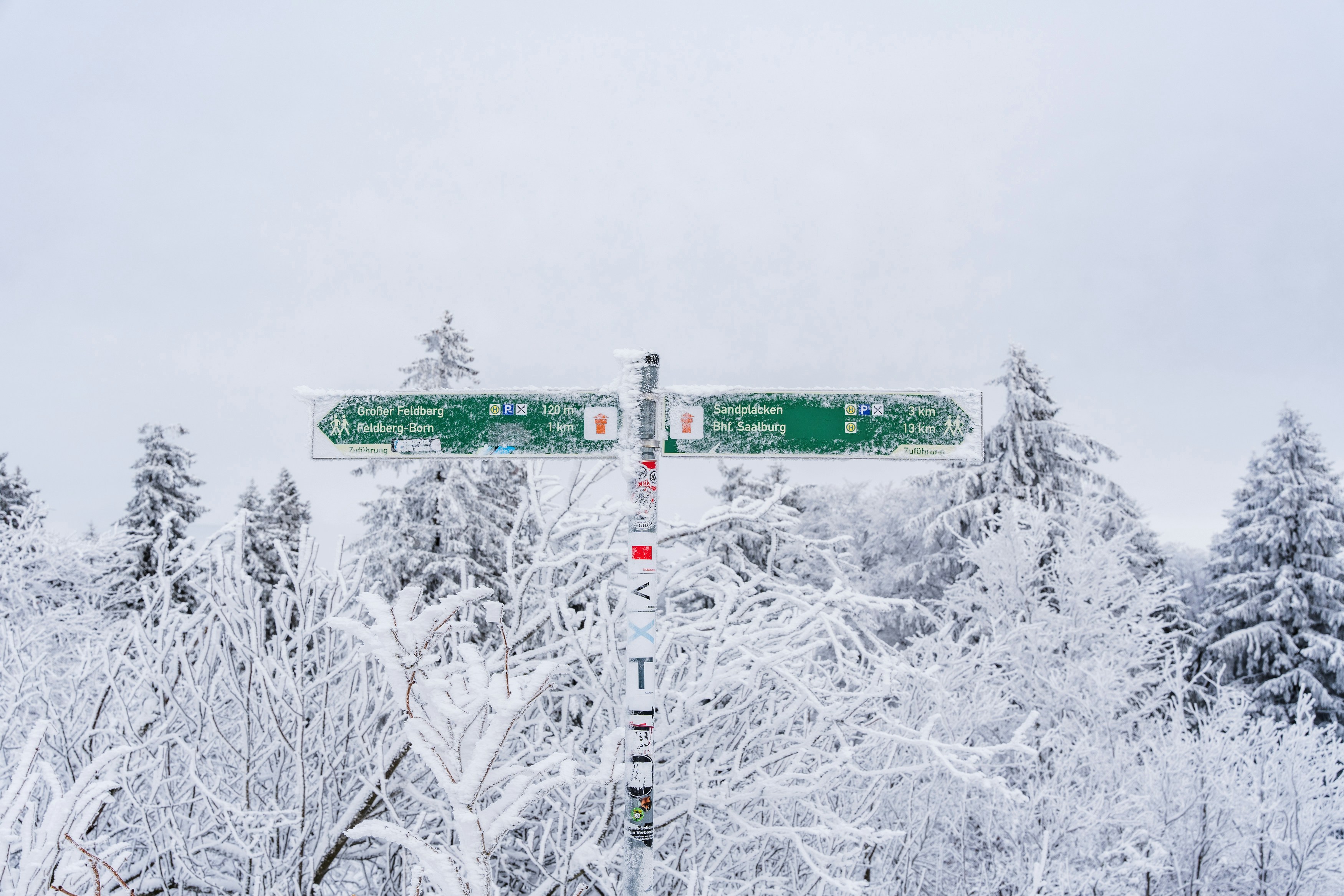 Photo by masoodaslami