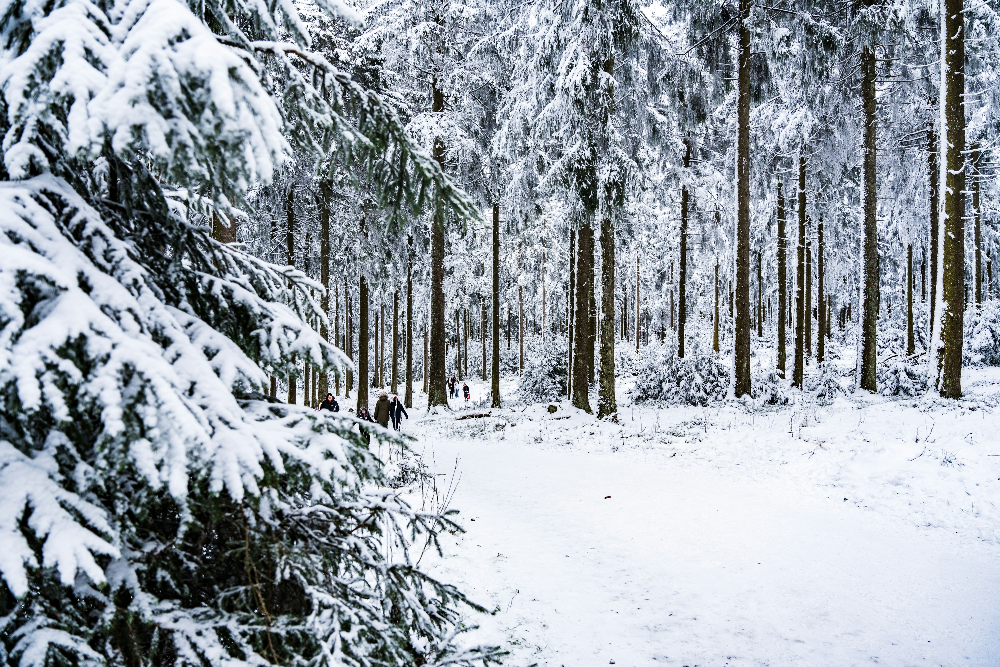 Photo by masoodaslami