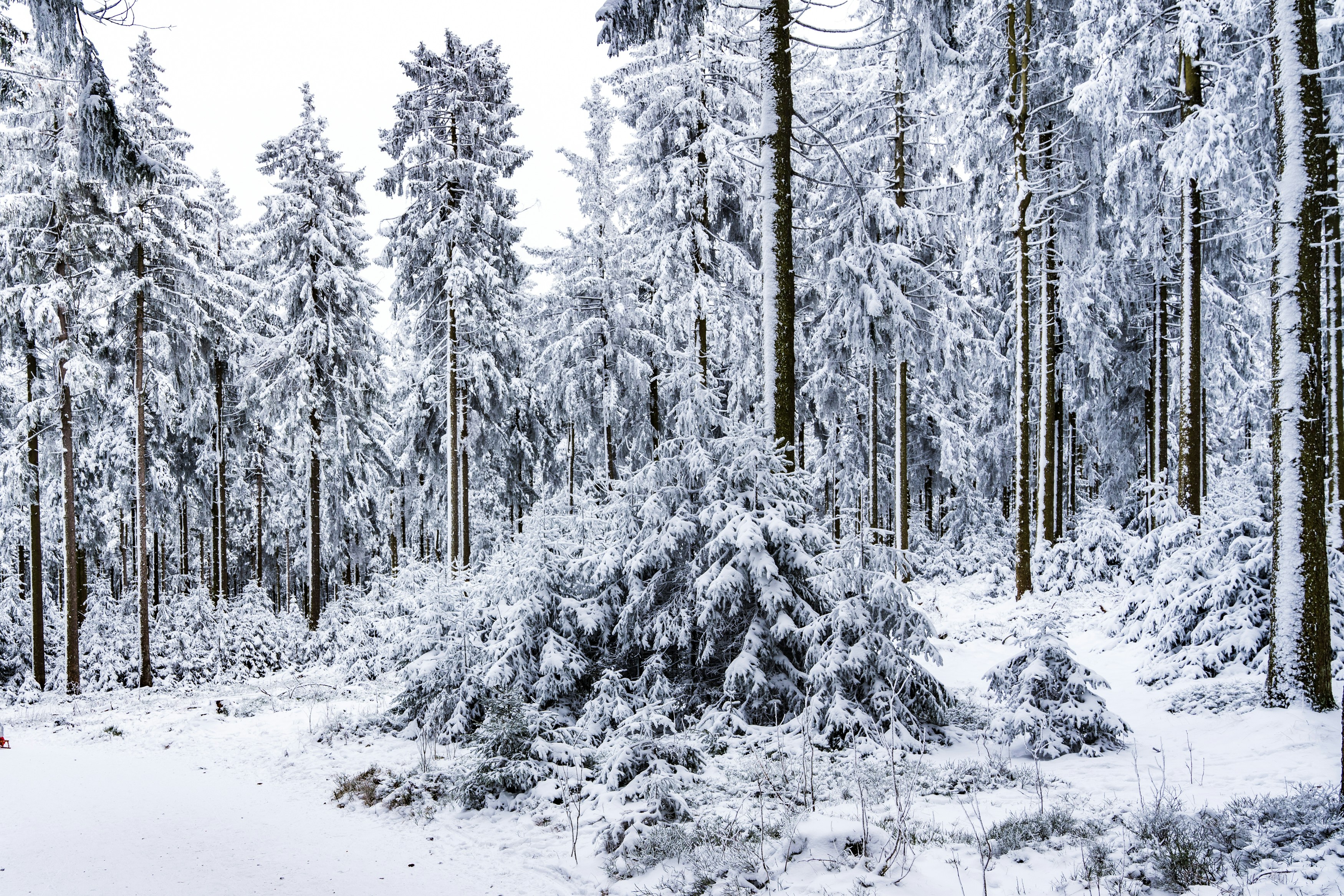 Photo by masoodaslami