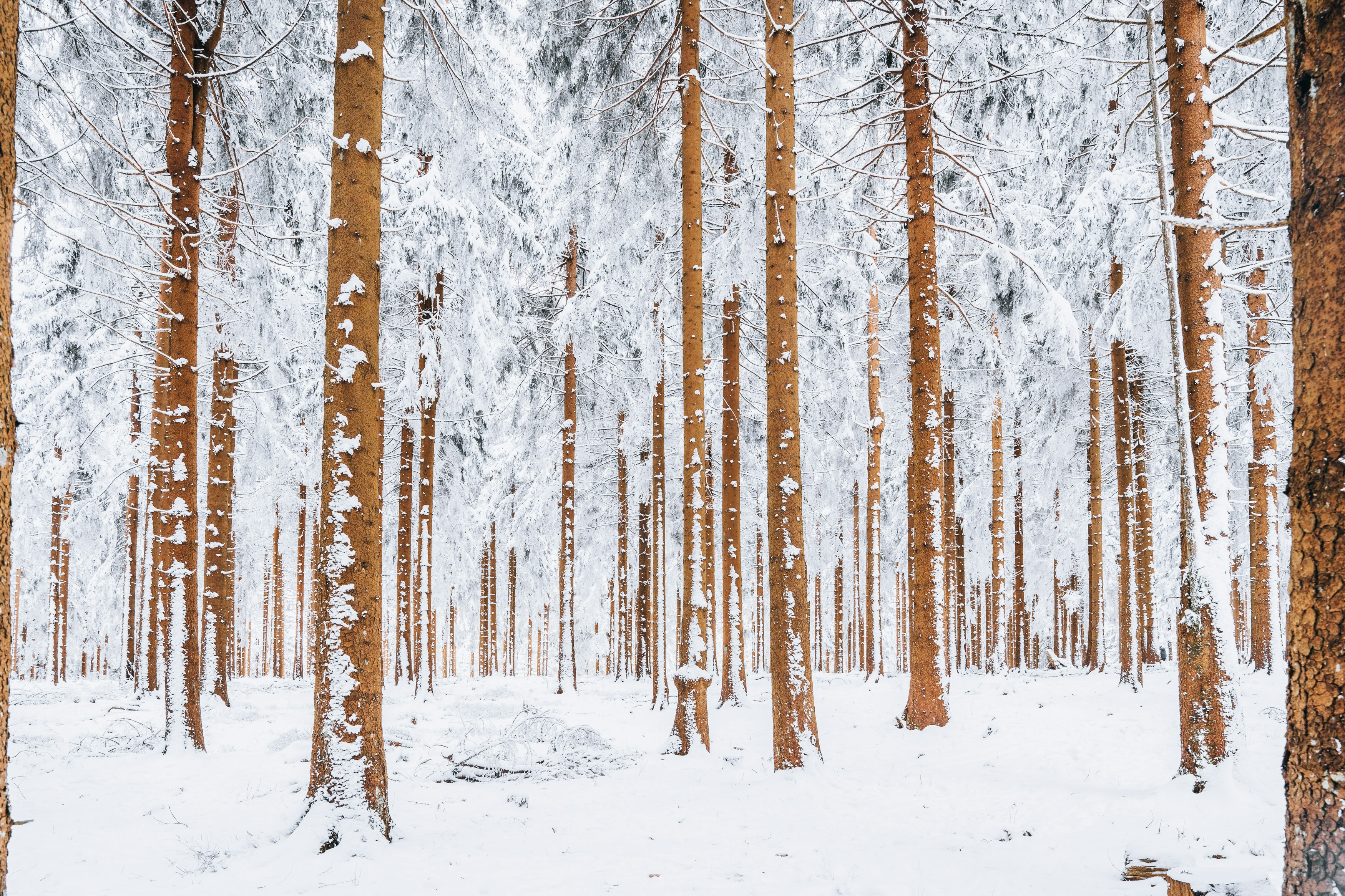 Photo by masoodaslami