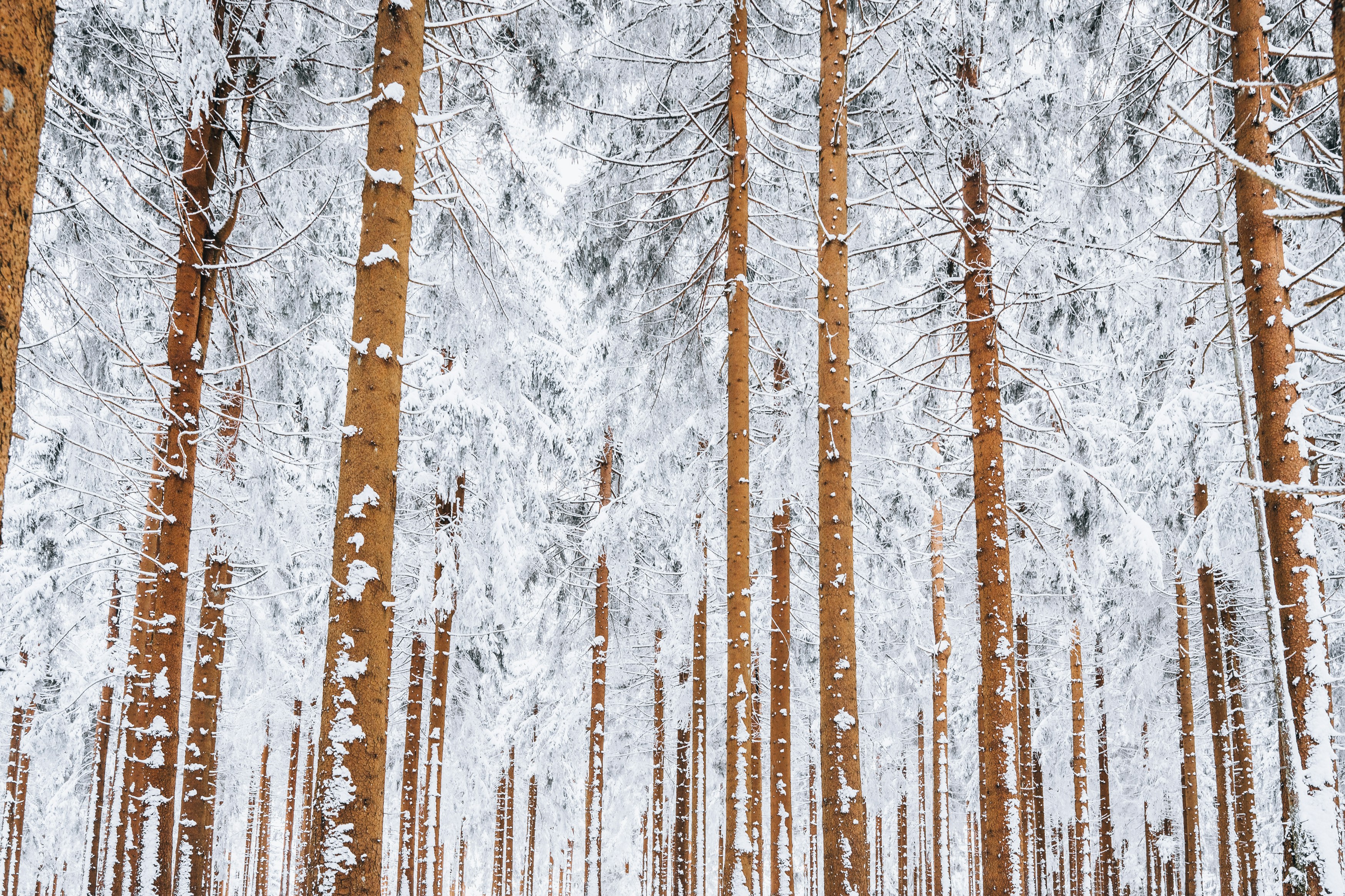 Photo by masoodaslami