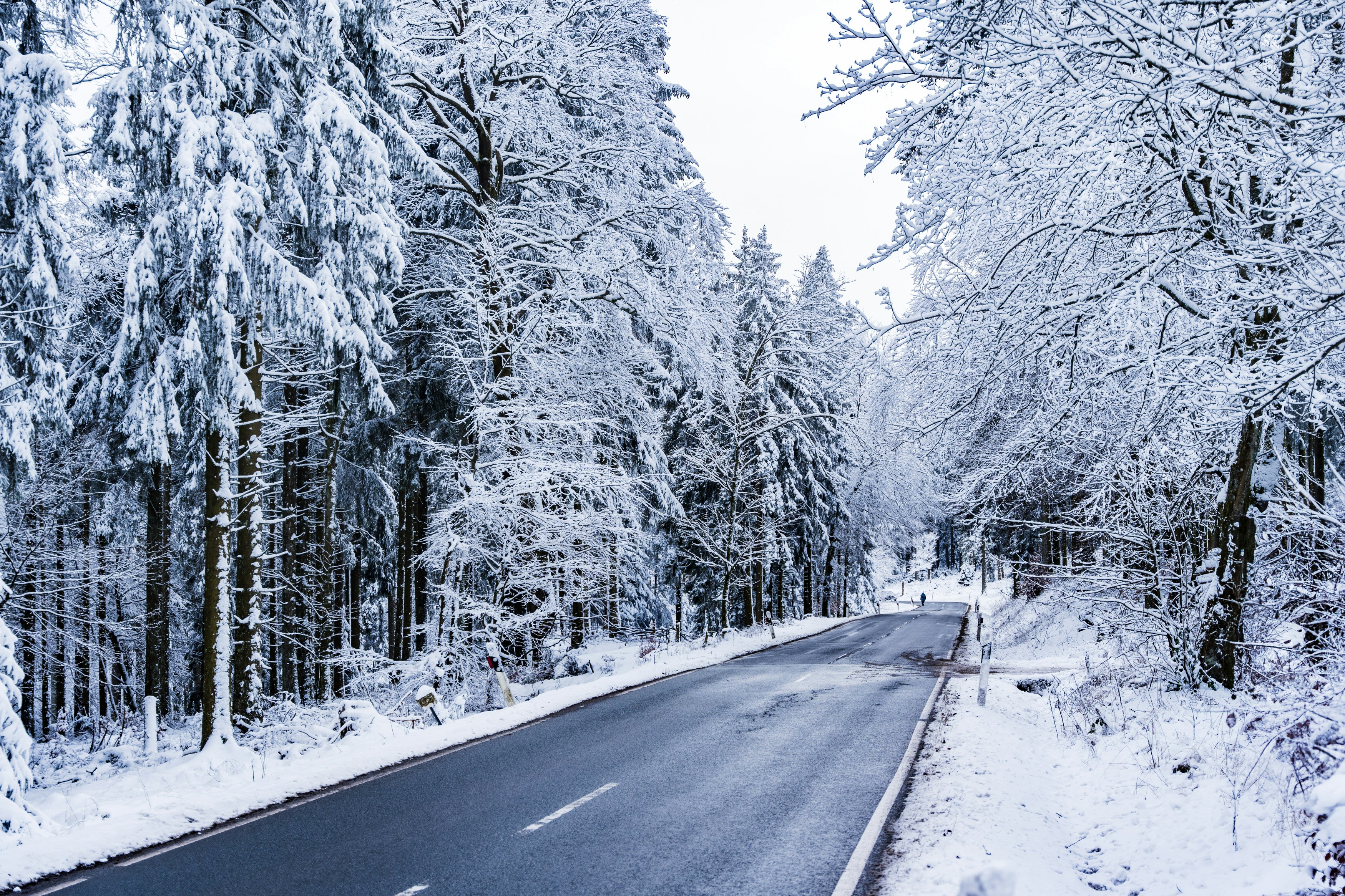 Photo by masoodaslami