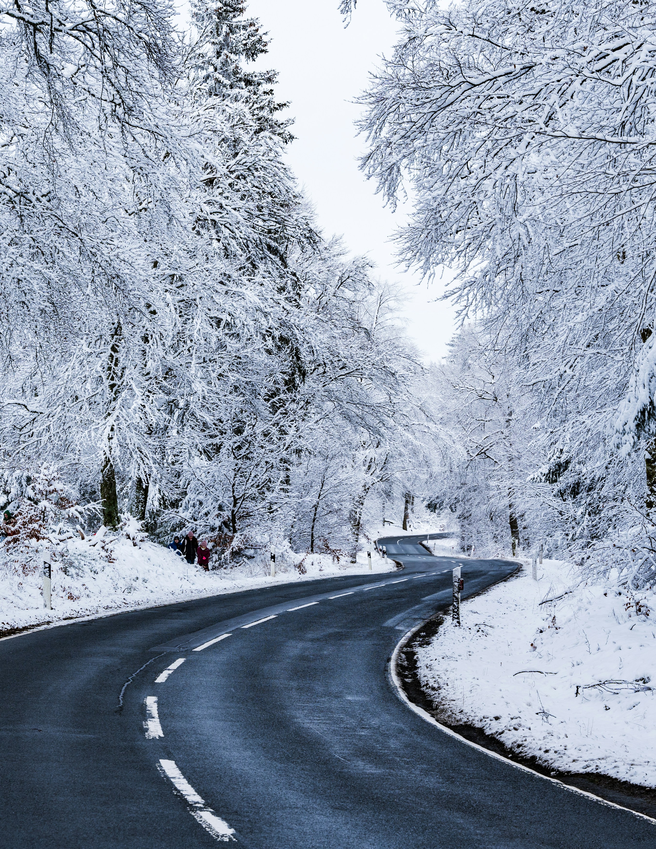 Photo by masoodaslami