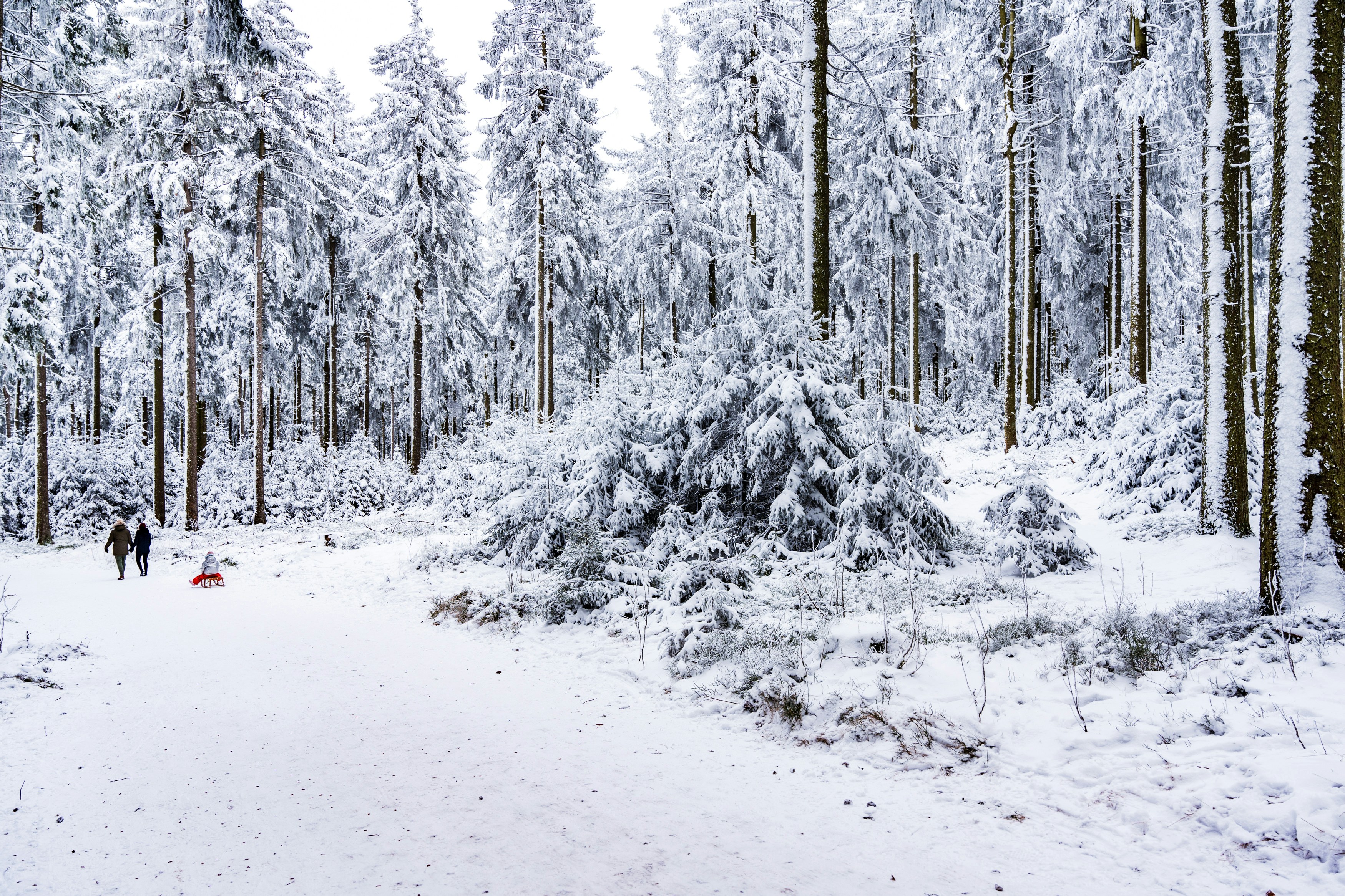 Photo by masoodaslami