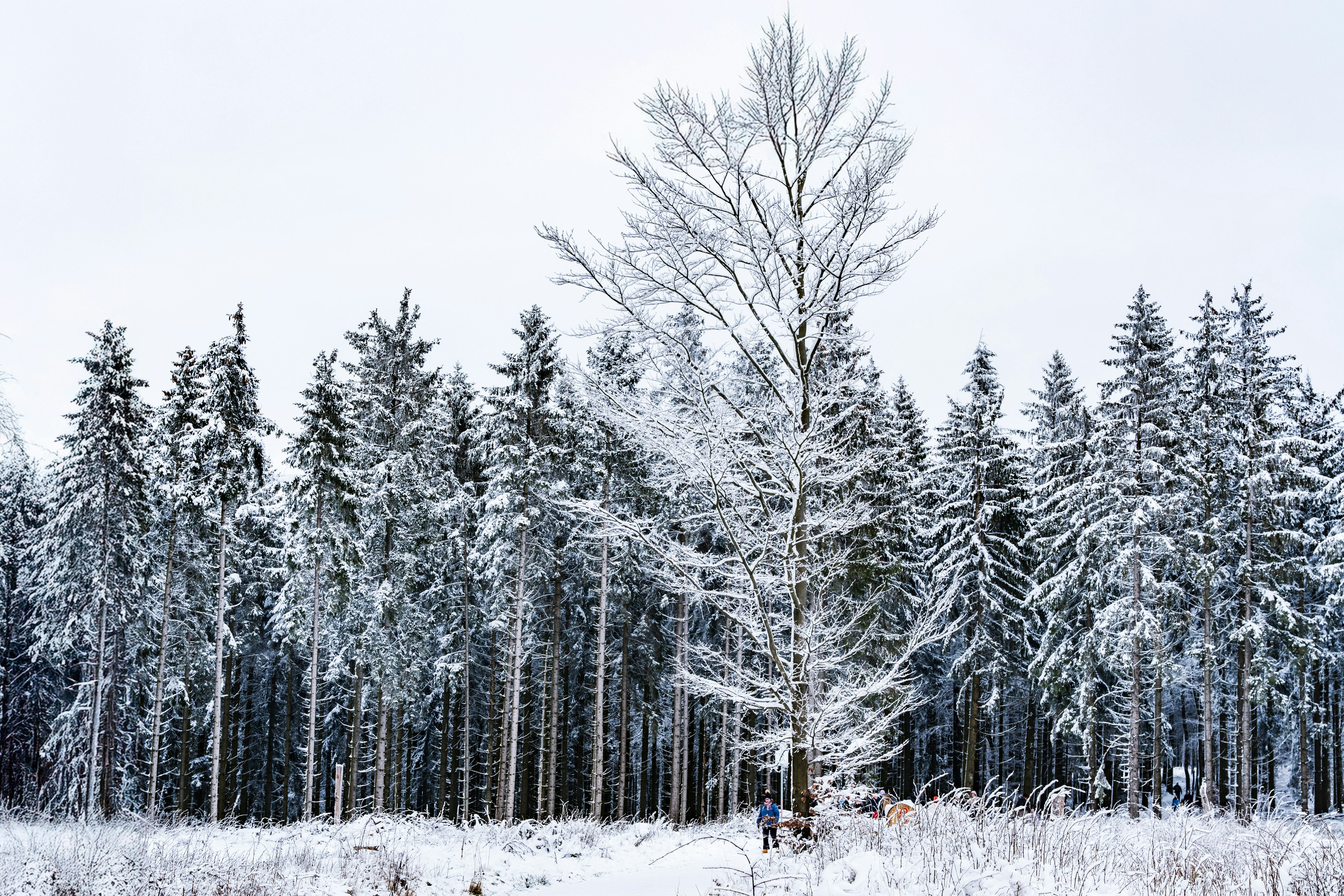 Photo by masoodaslami