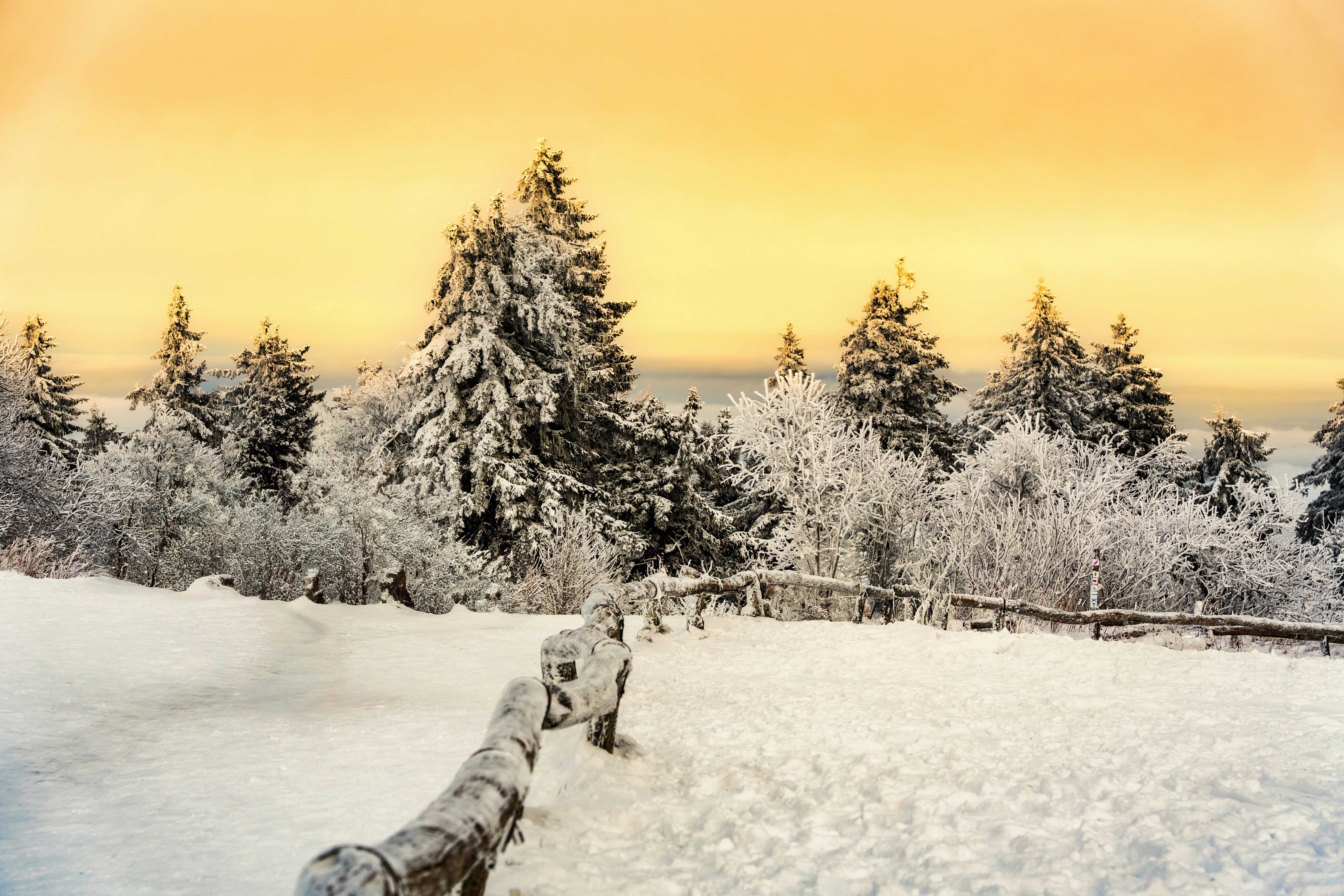 Photo by masoodaslami