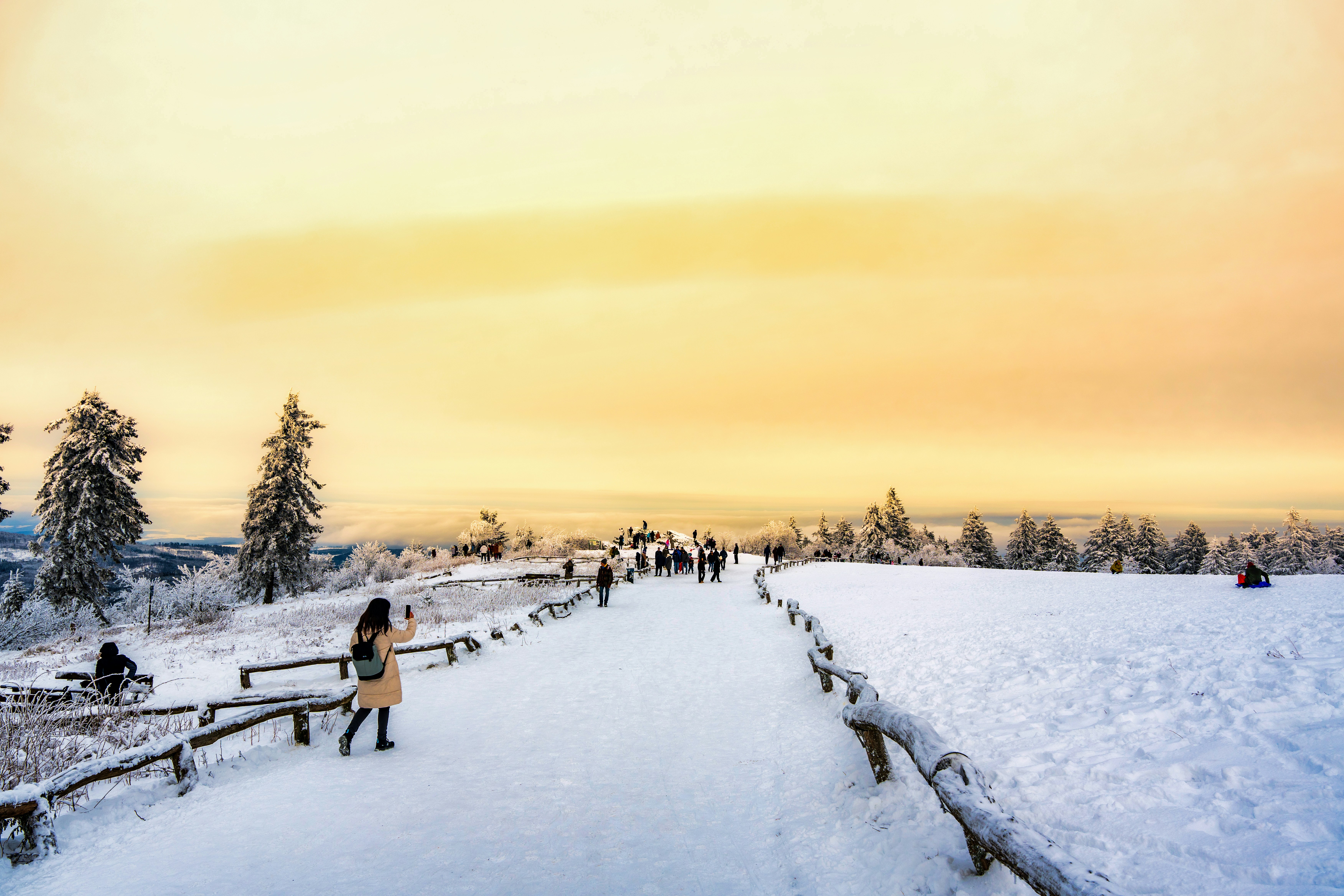 Photo by masoodaslami