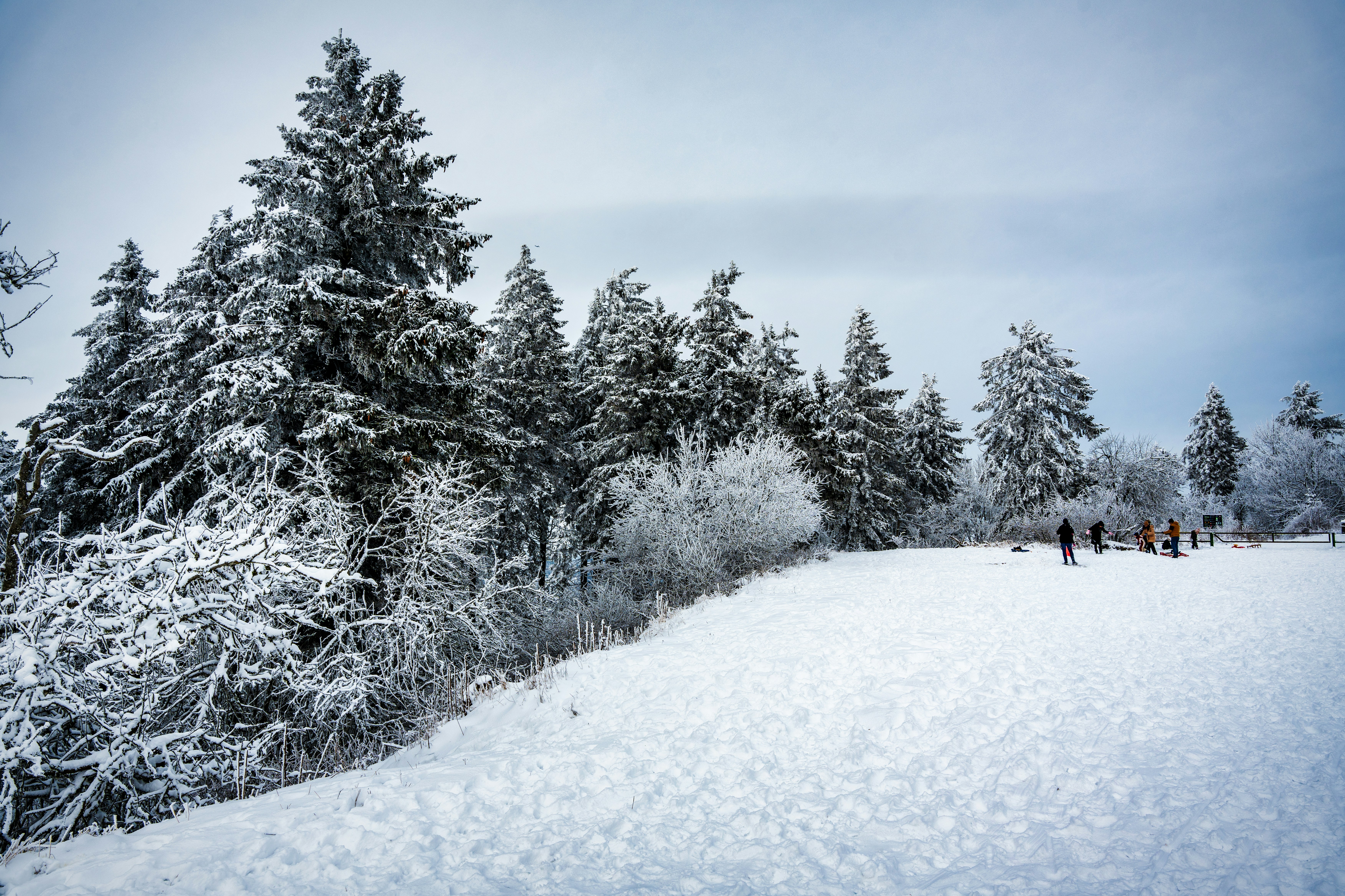 Photo by masoodaslami