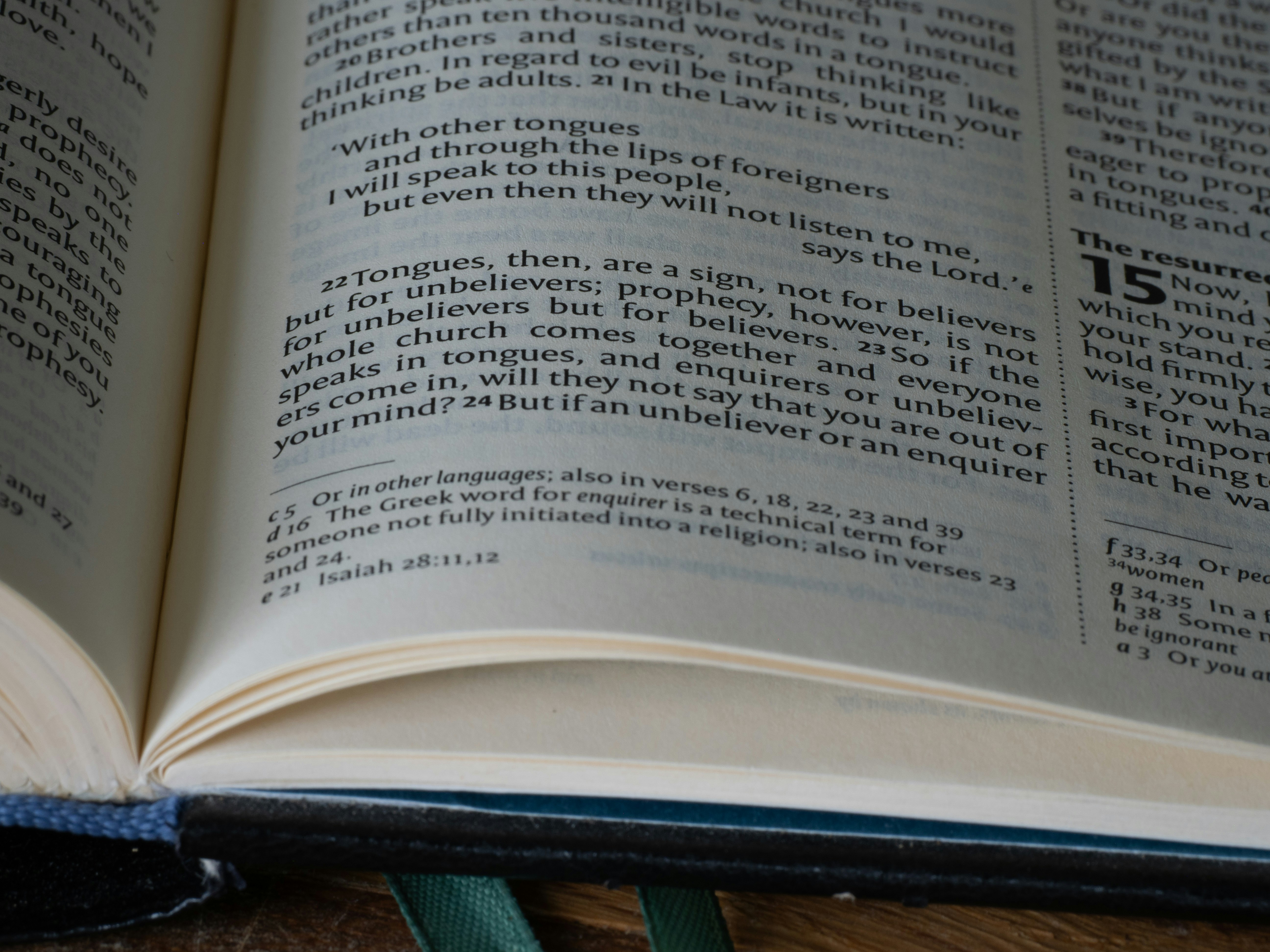 Photo by brett_jordan