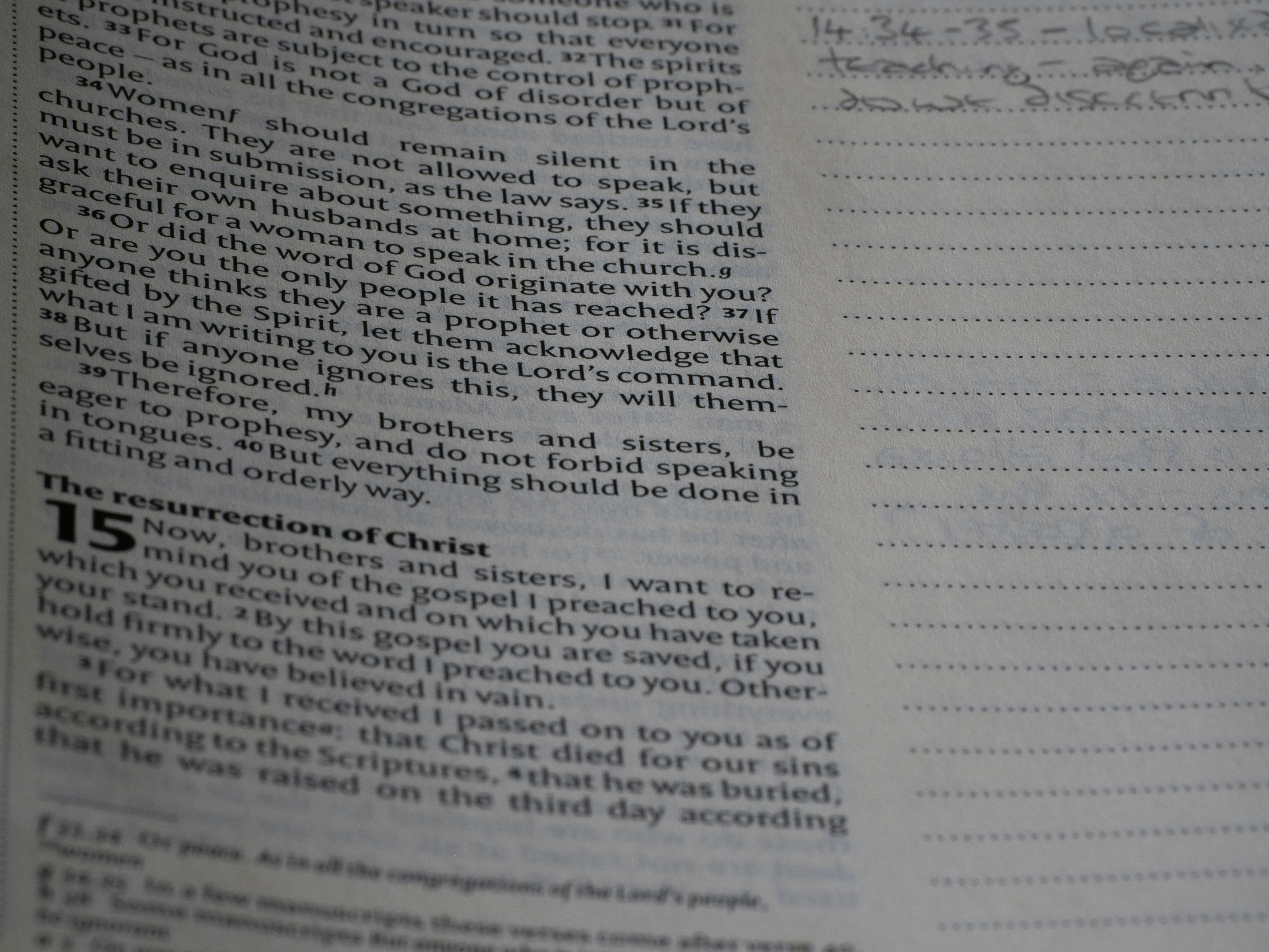 Photo by brett_jordan