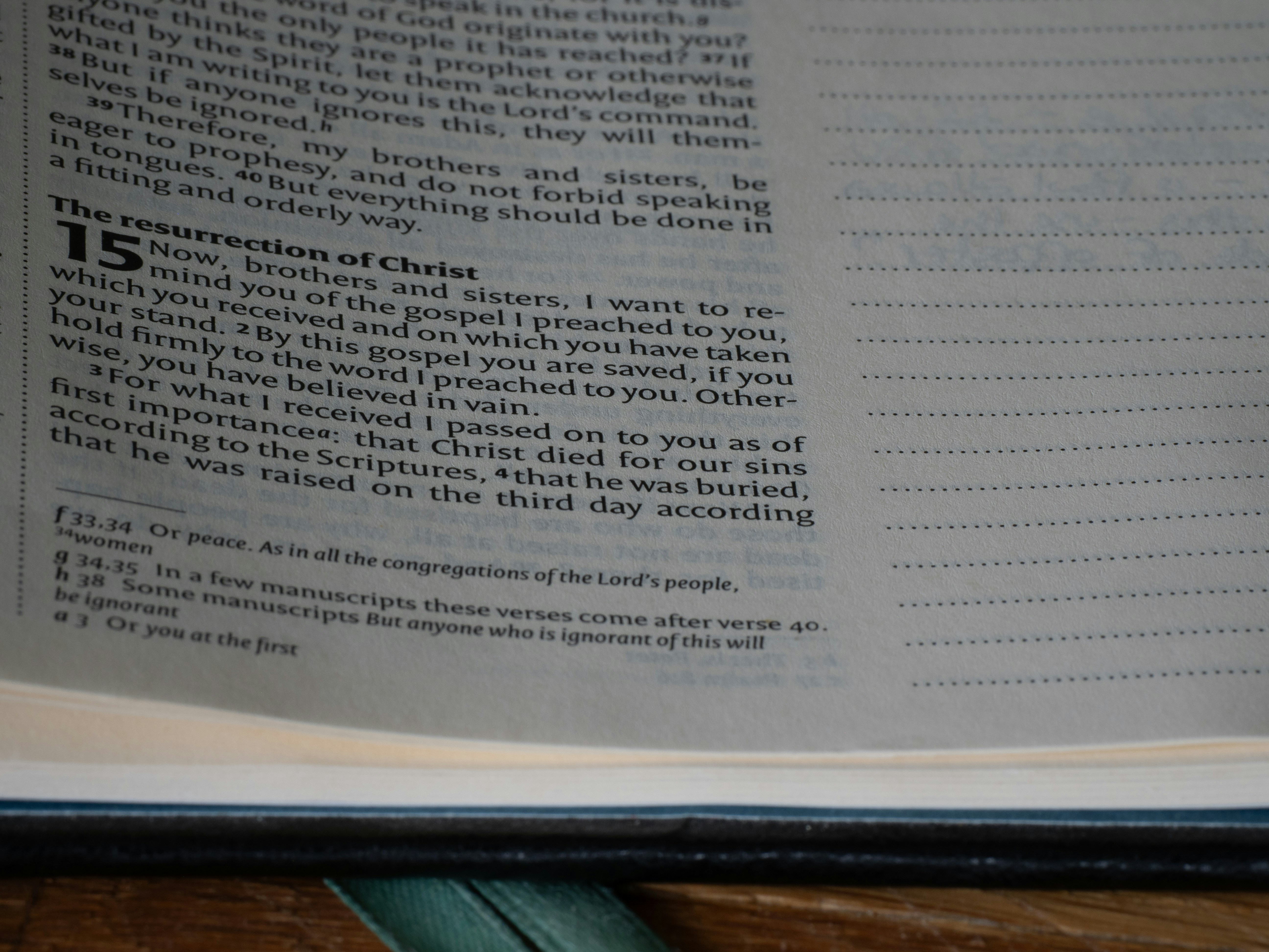 Photo by brett_jordan