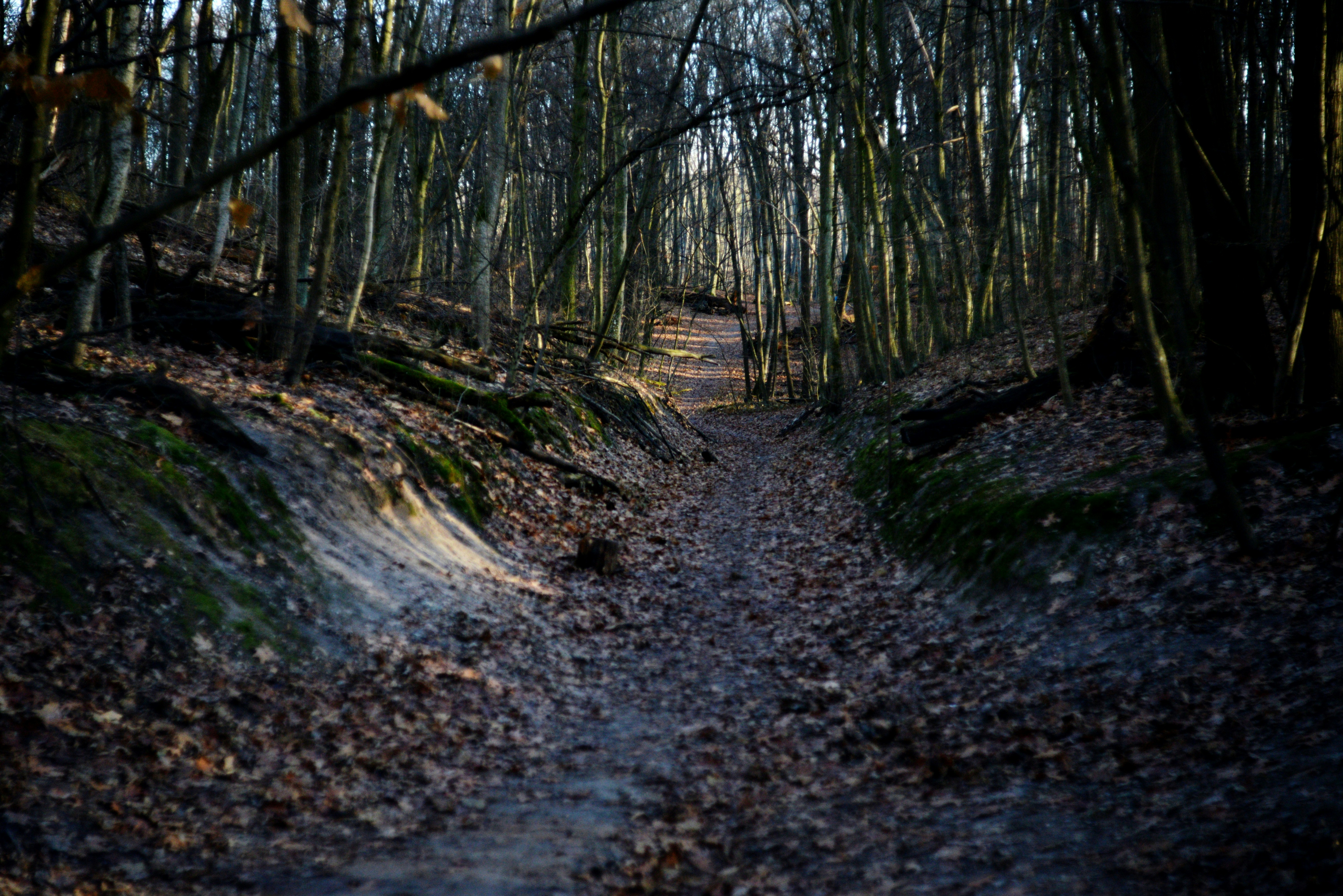 Photo by cherstve_pechivo