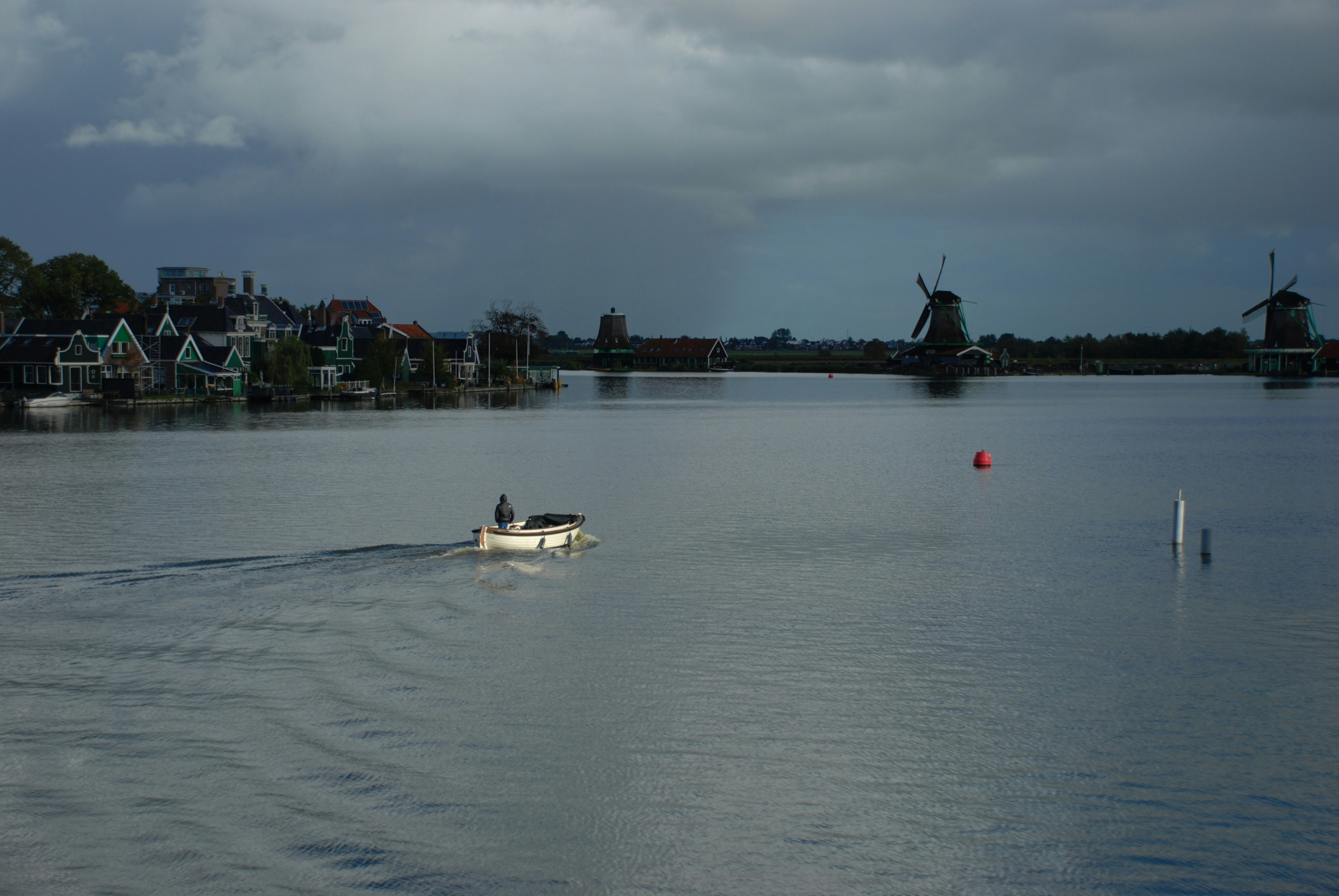 犬が大きな水域で泳いでいます