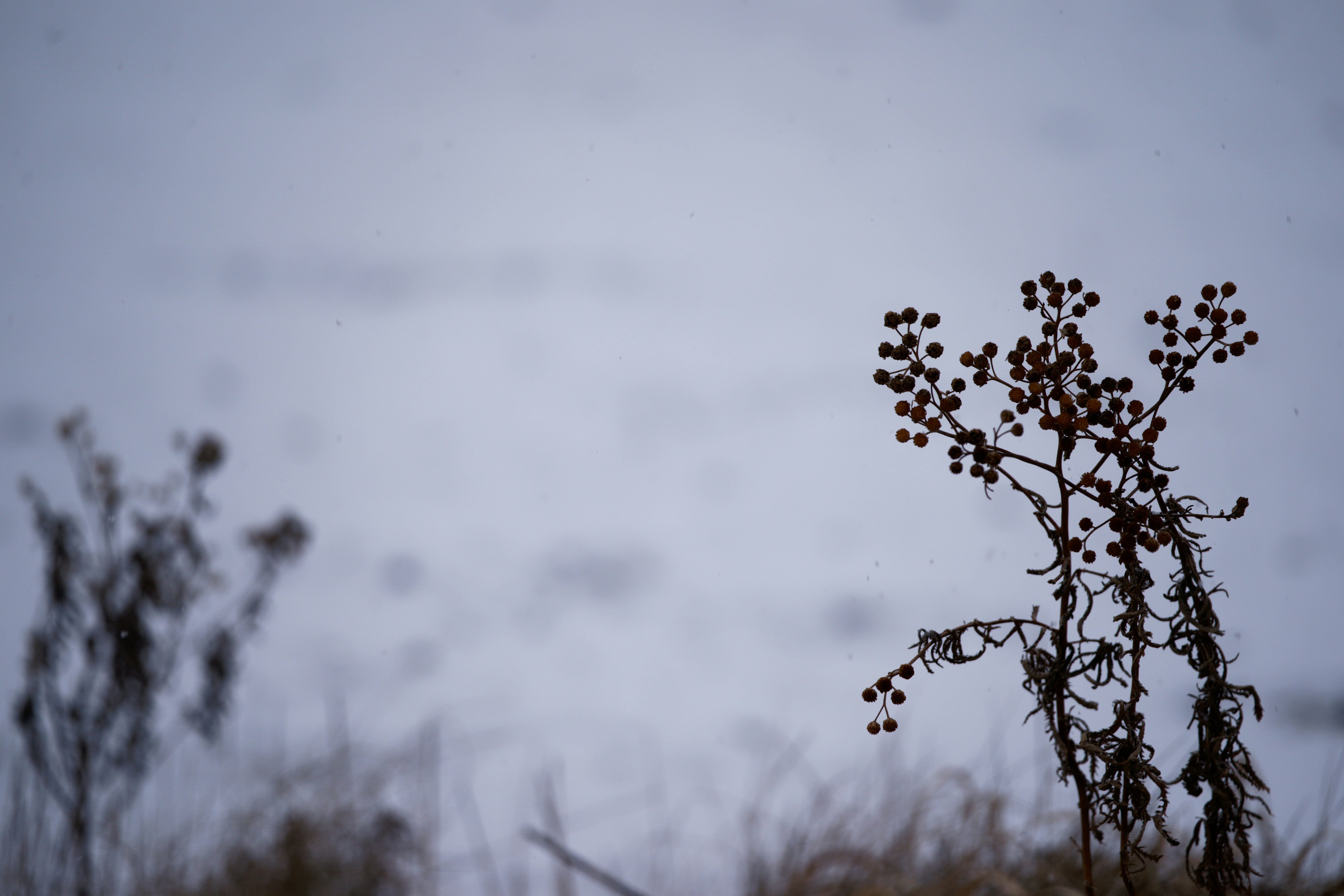 Photo by da_shika_photo