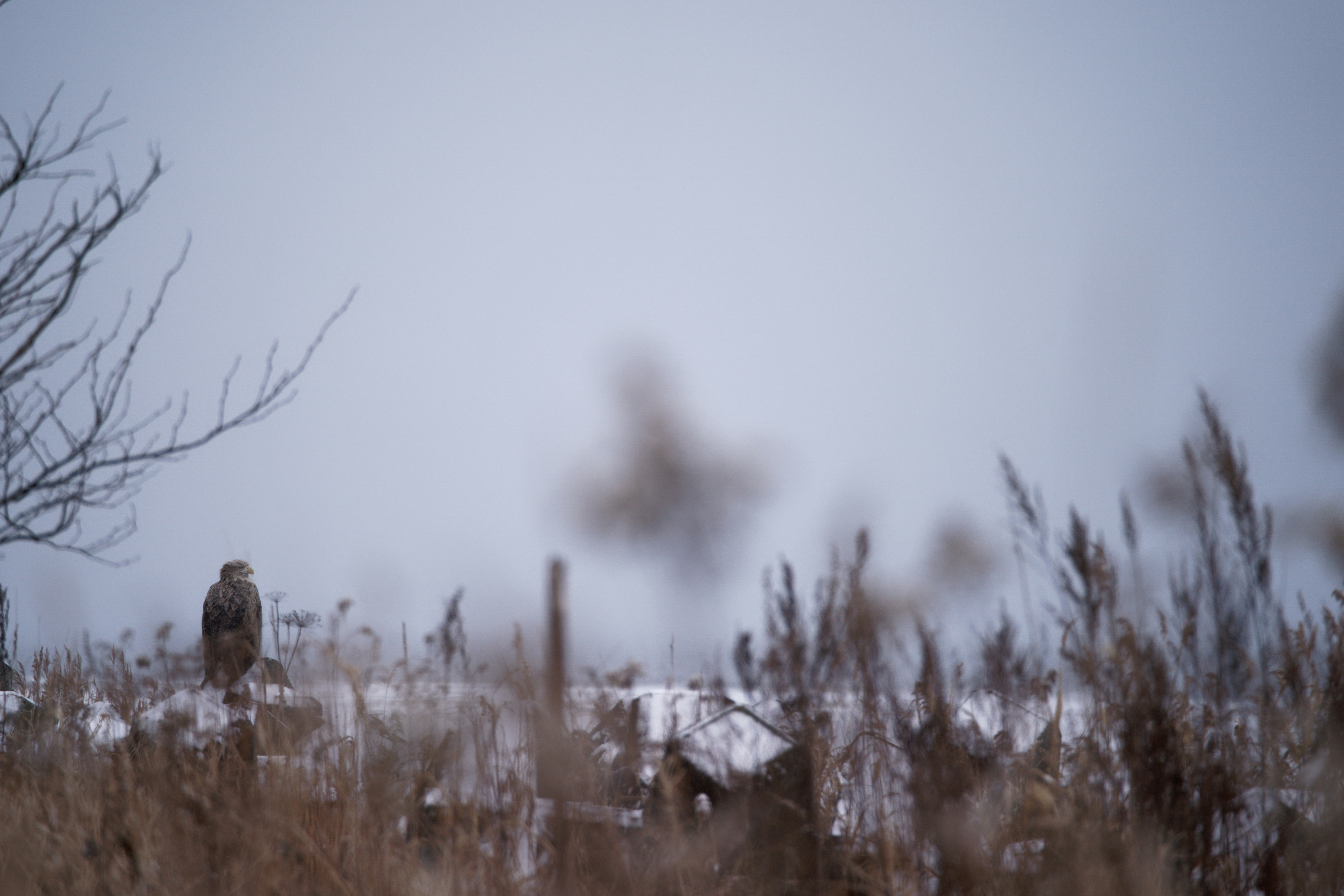 Photo by da_shika_photo