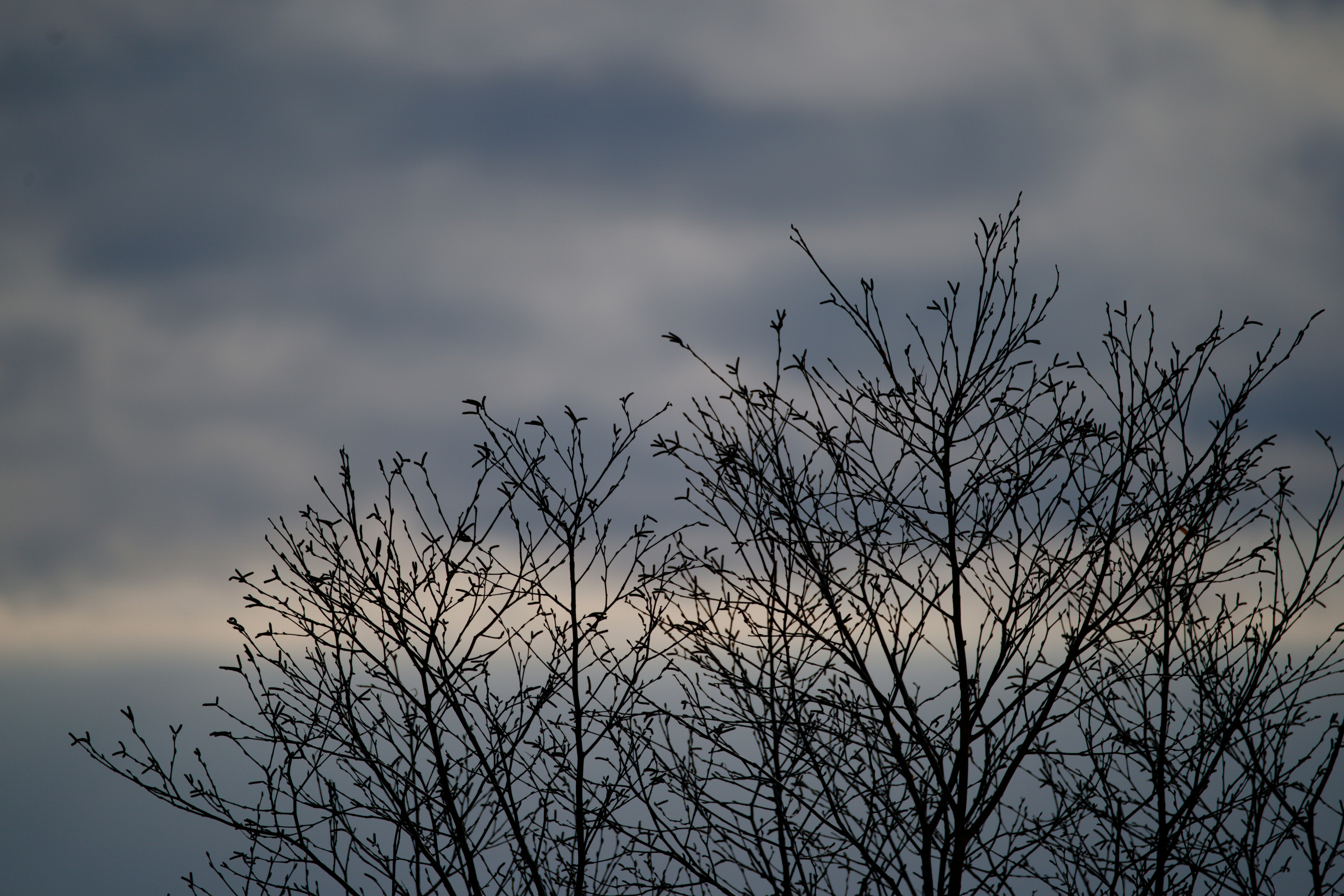 Photo by da_shika_photo