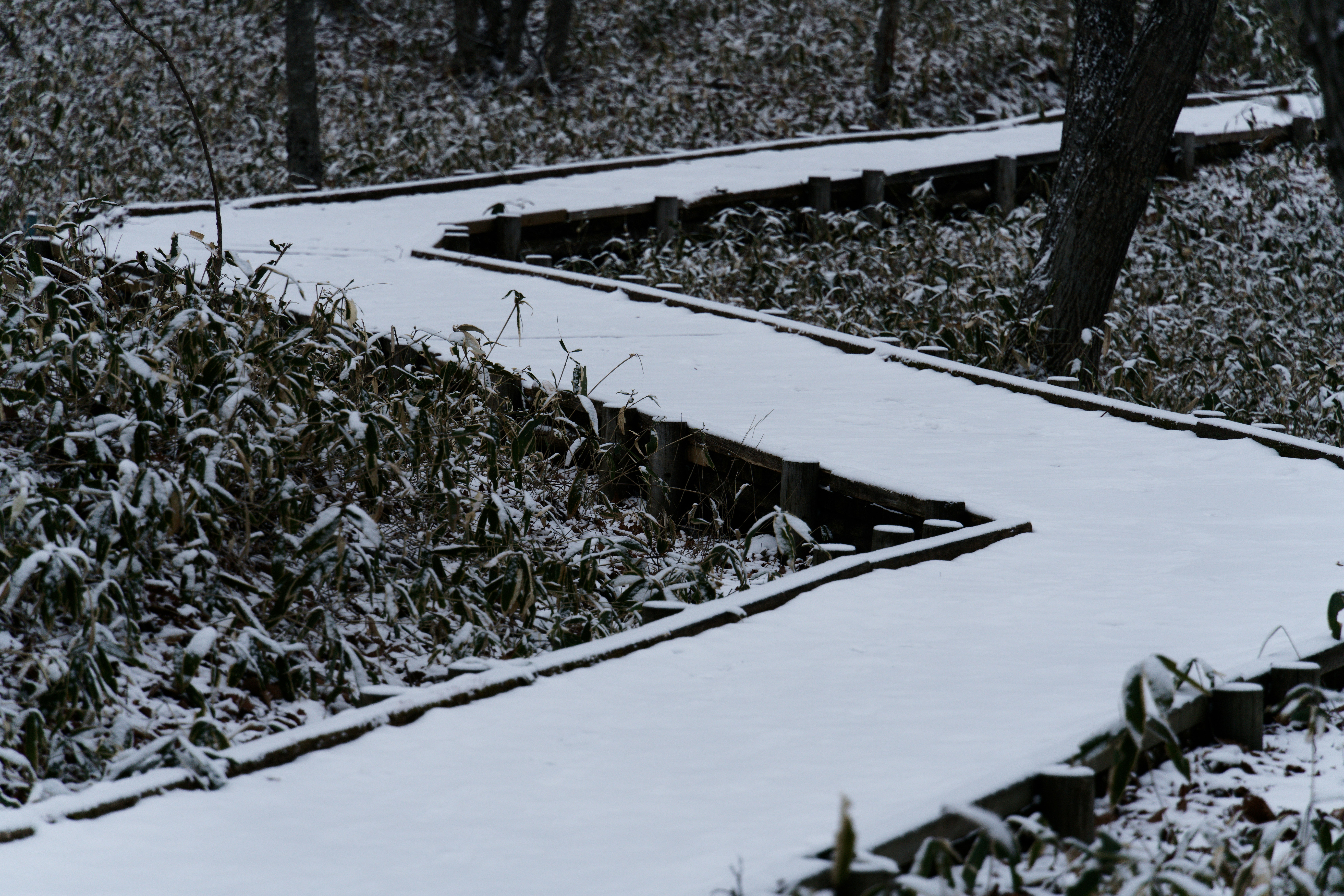 Photo by da_shika_photo