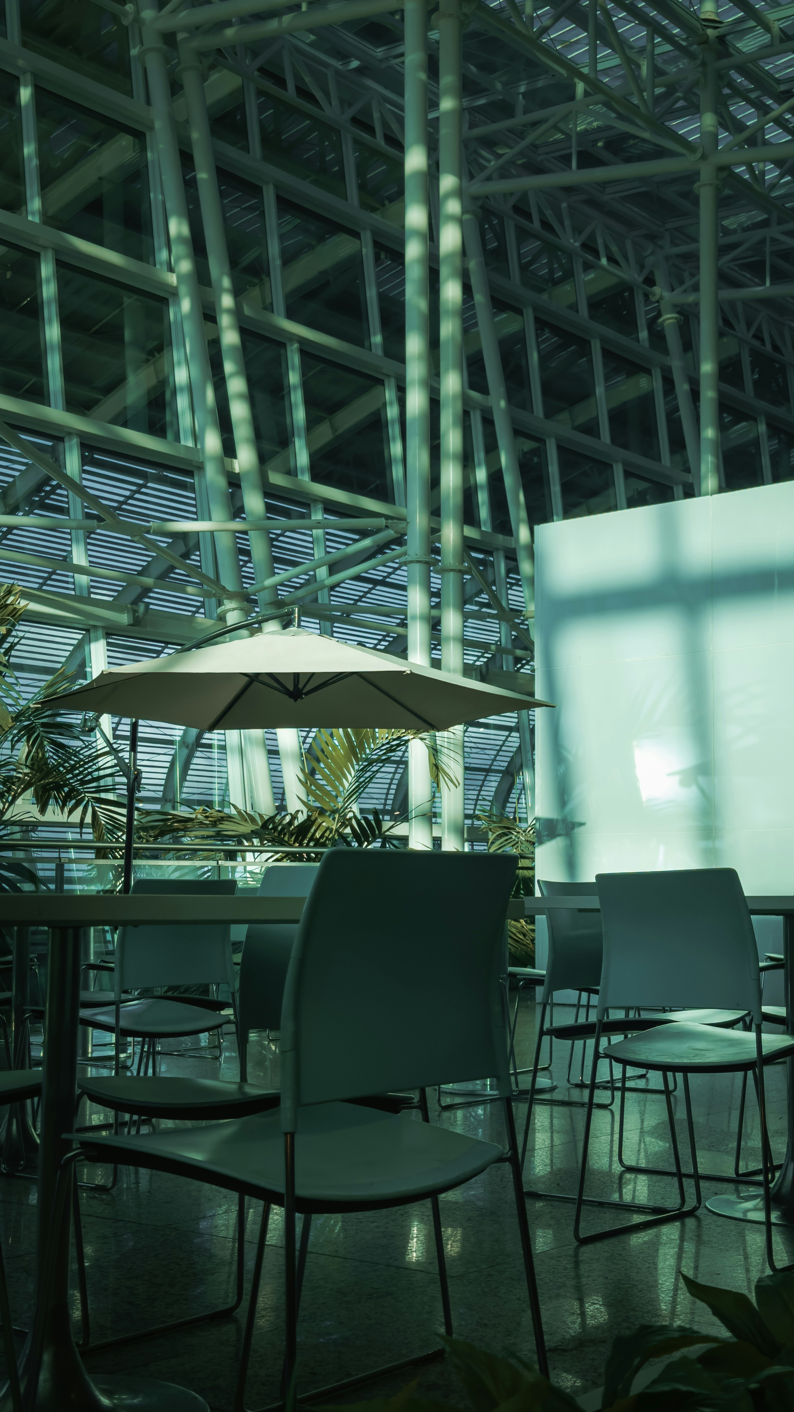 Natal – Activities & Attractions