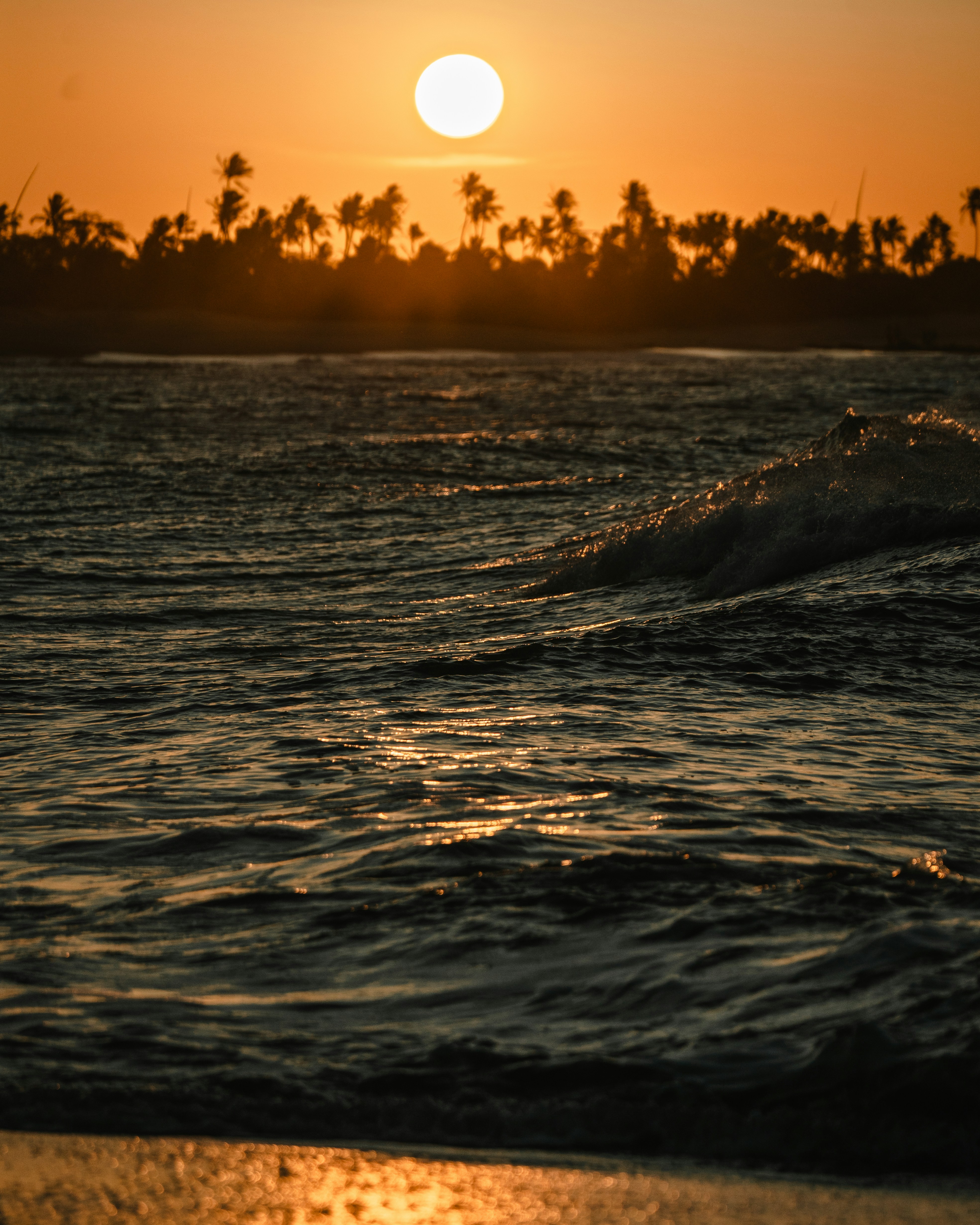 Photo by rflpazini