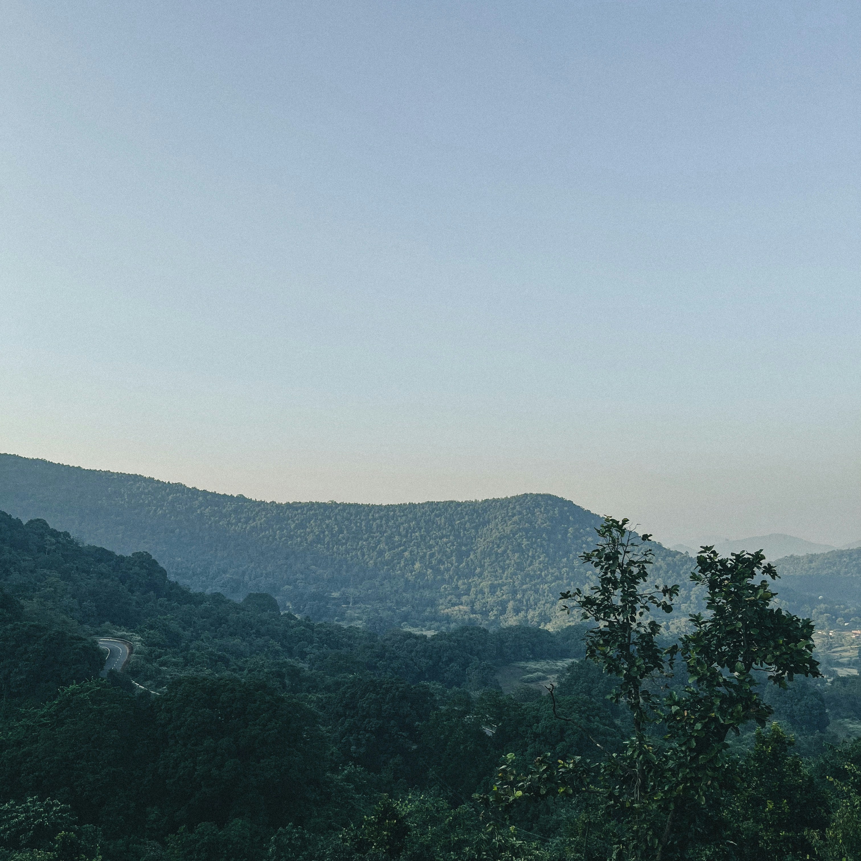 Photo by rkdotdesign