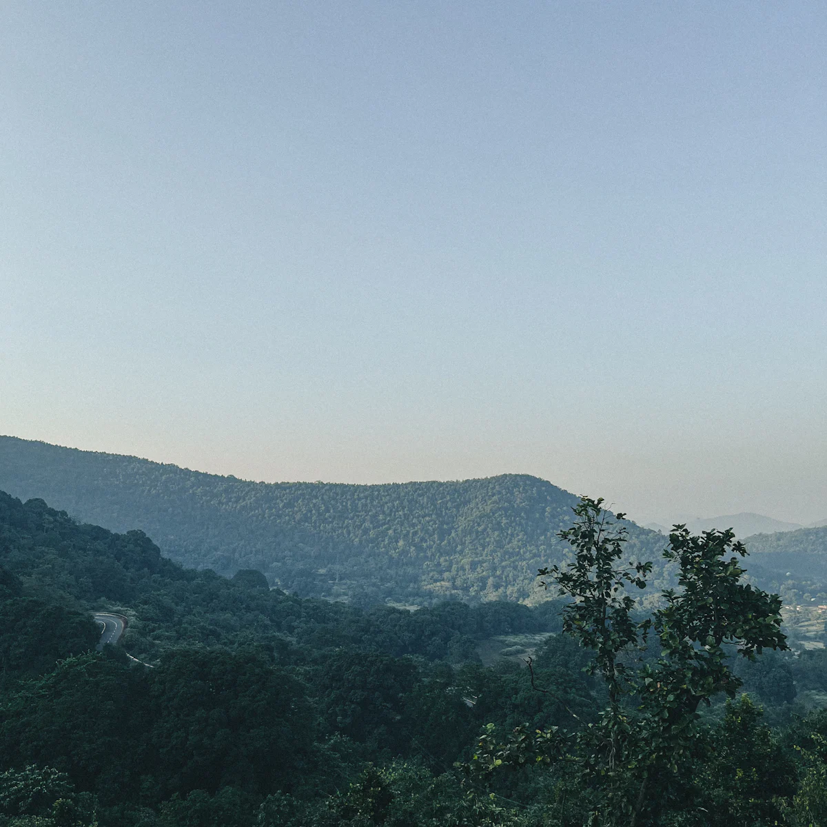 Daringbadi
