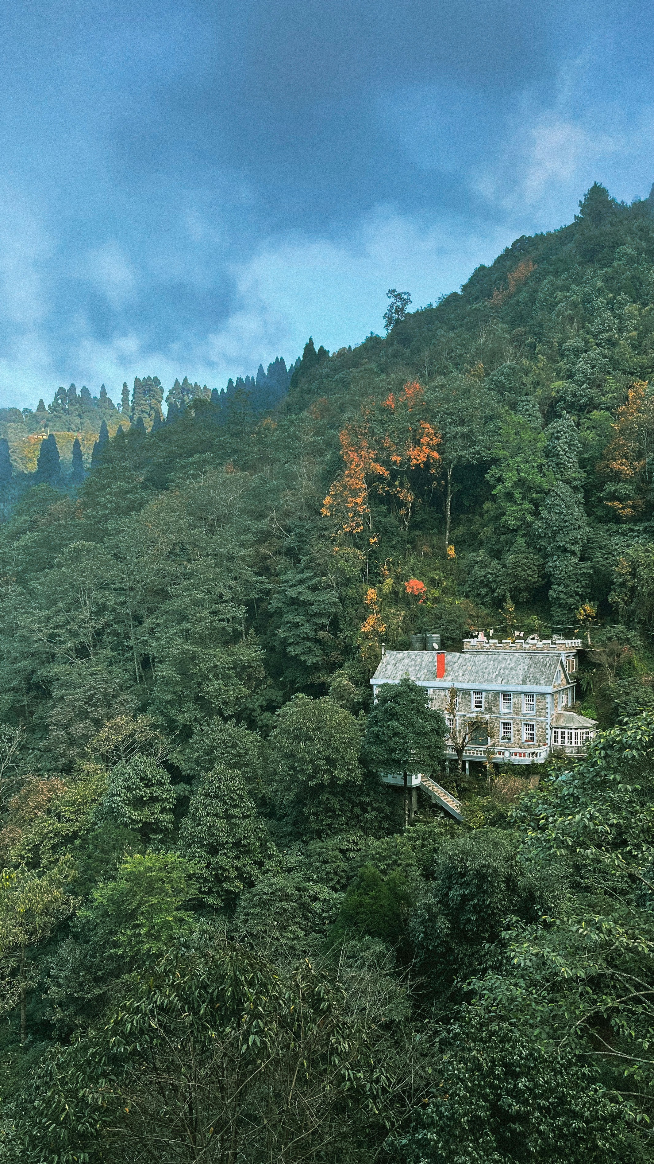 A house on a hill surrounded by trees