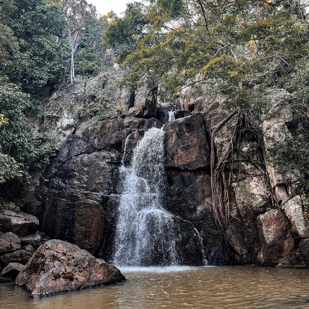Jashpur