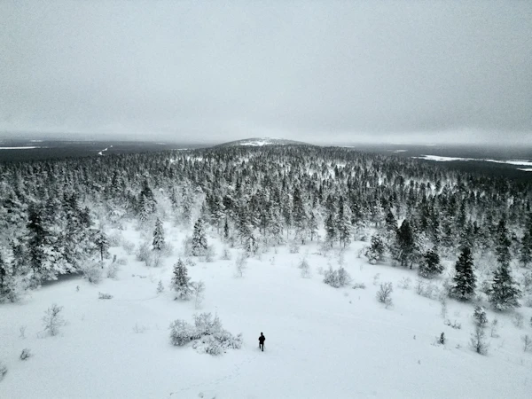 Rovaniemi & Saariselkä, Finnish Lapland photo 1