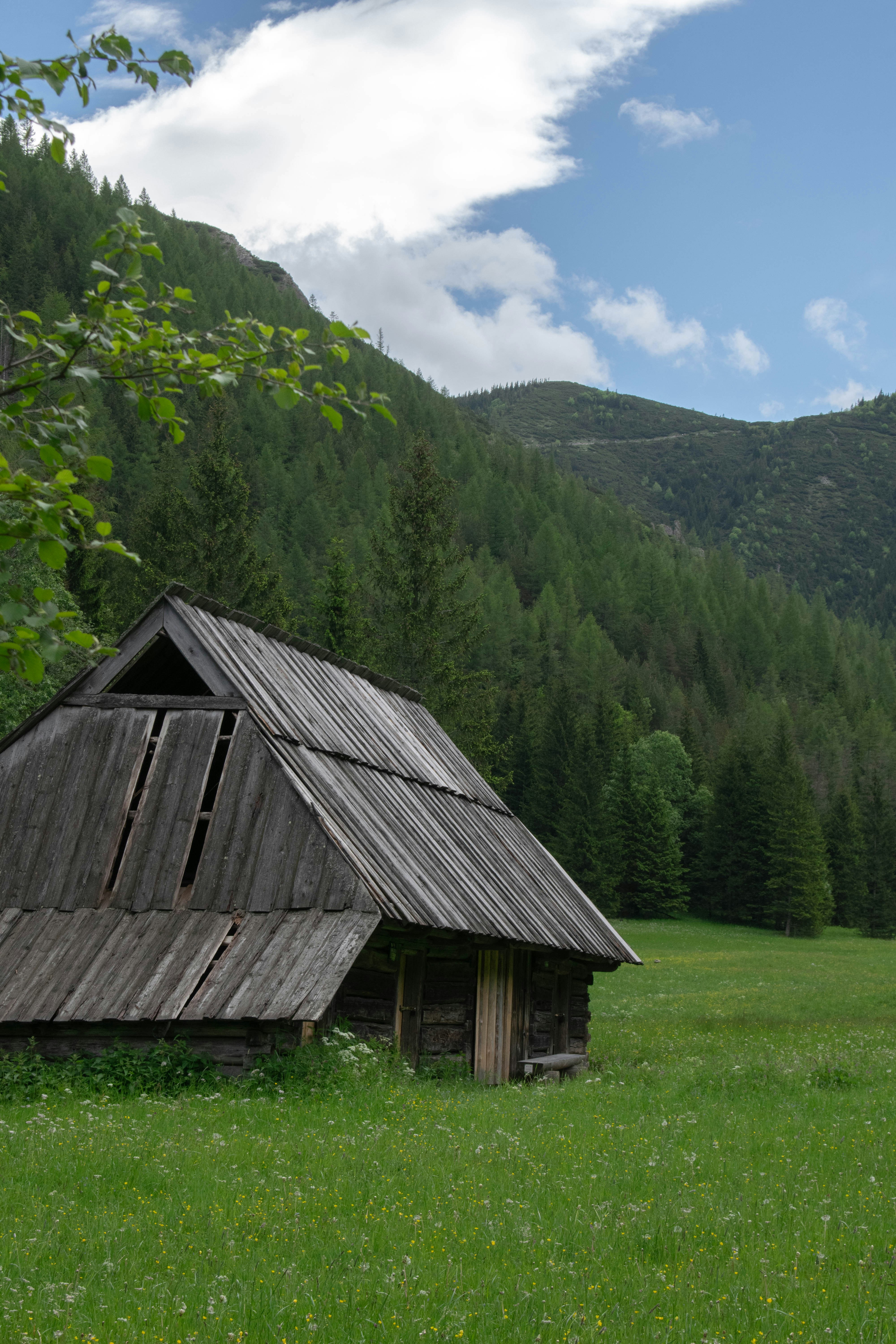 Photo by alexandre13