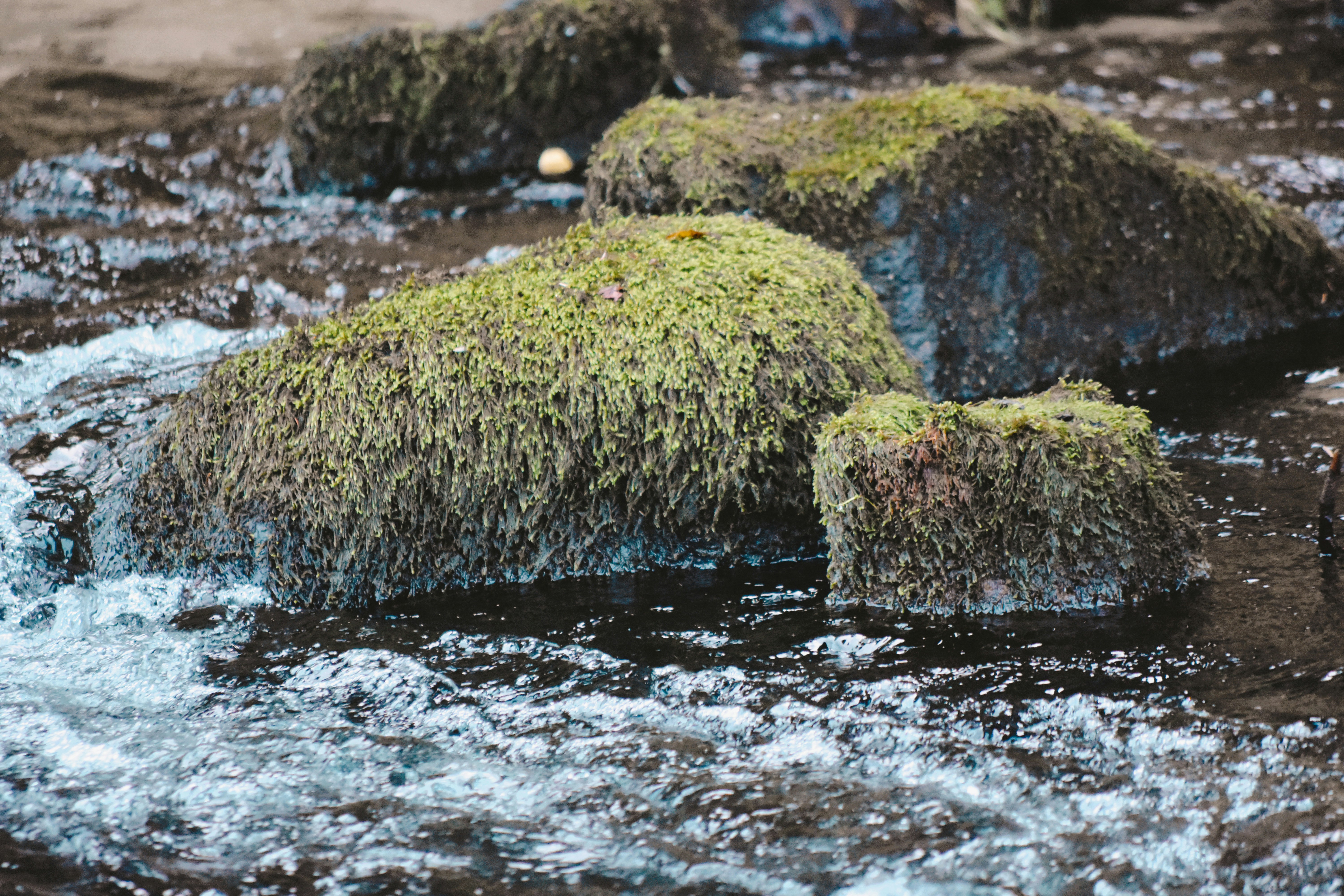 Forte dei Marmi from Florence: Best Beach Guide