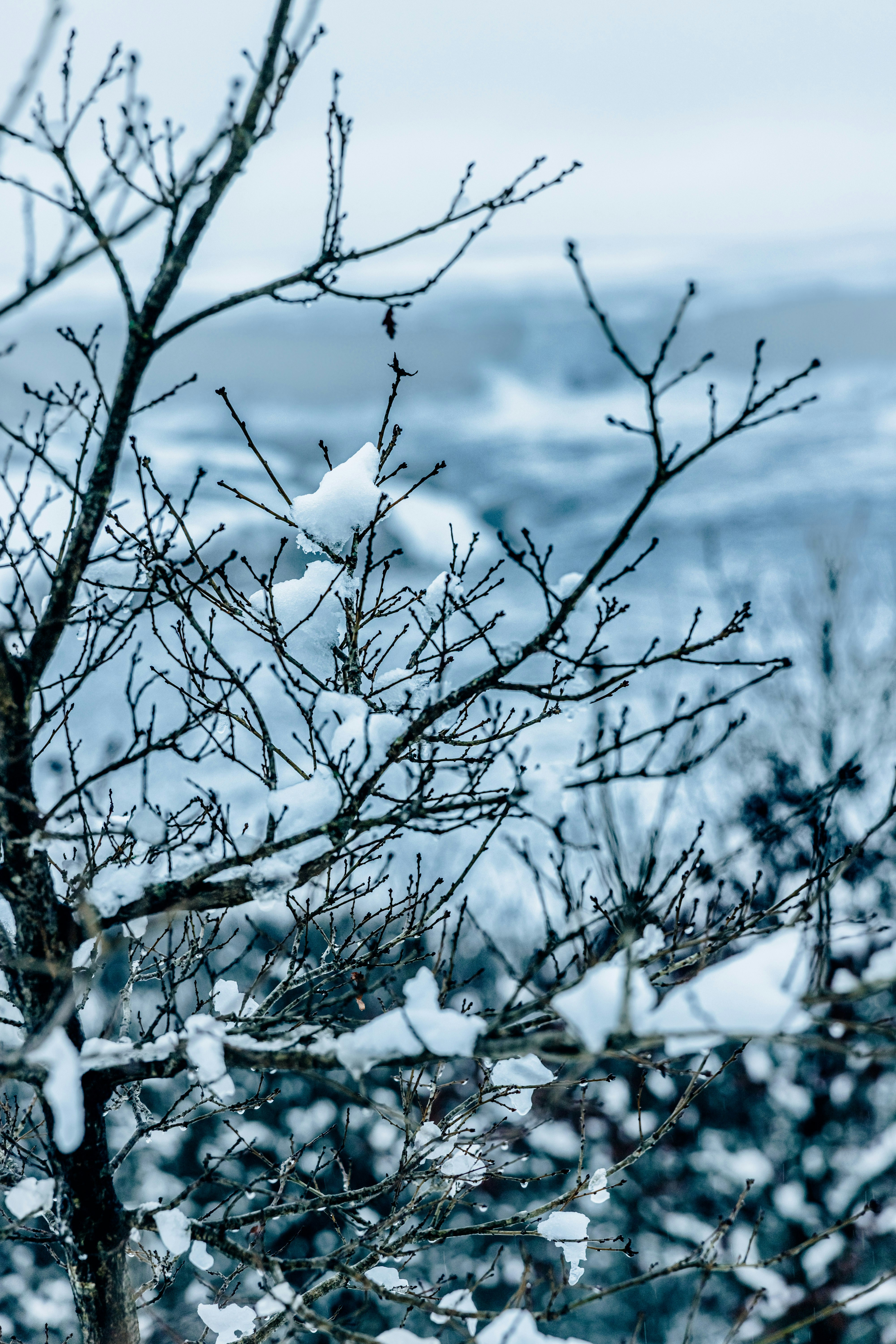 Photo by lukethorntonofficial