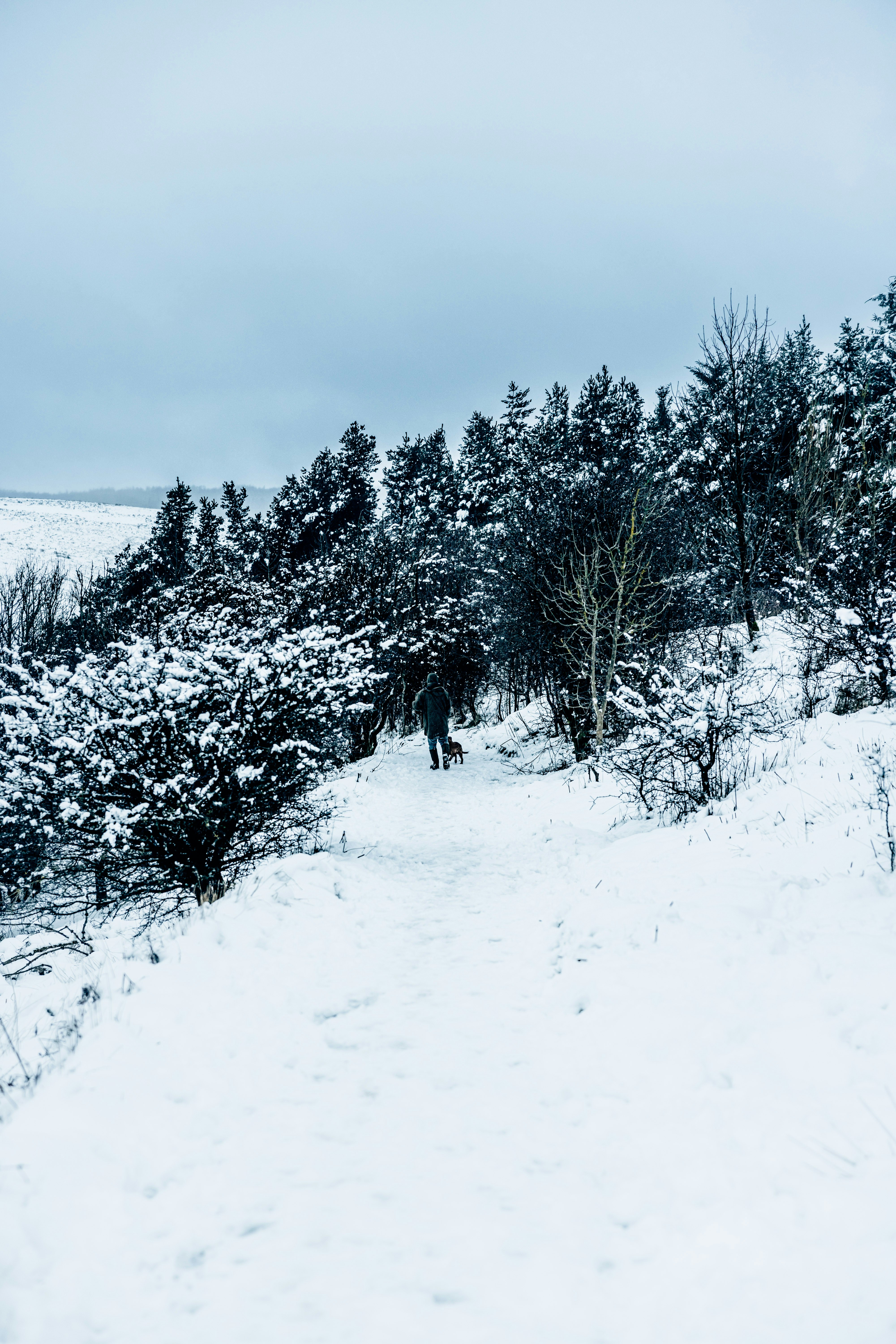 Photo by lukethorntonofficial