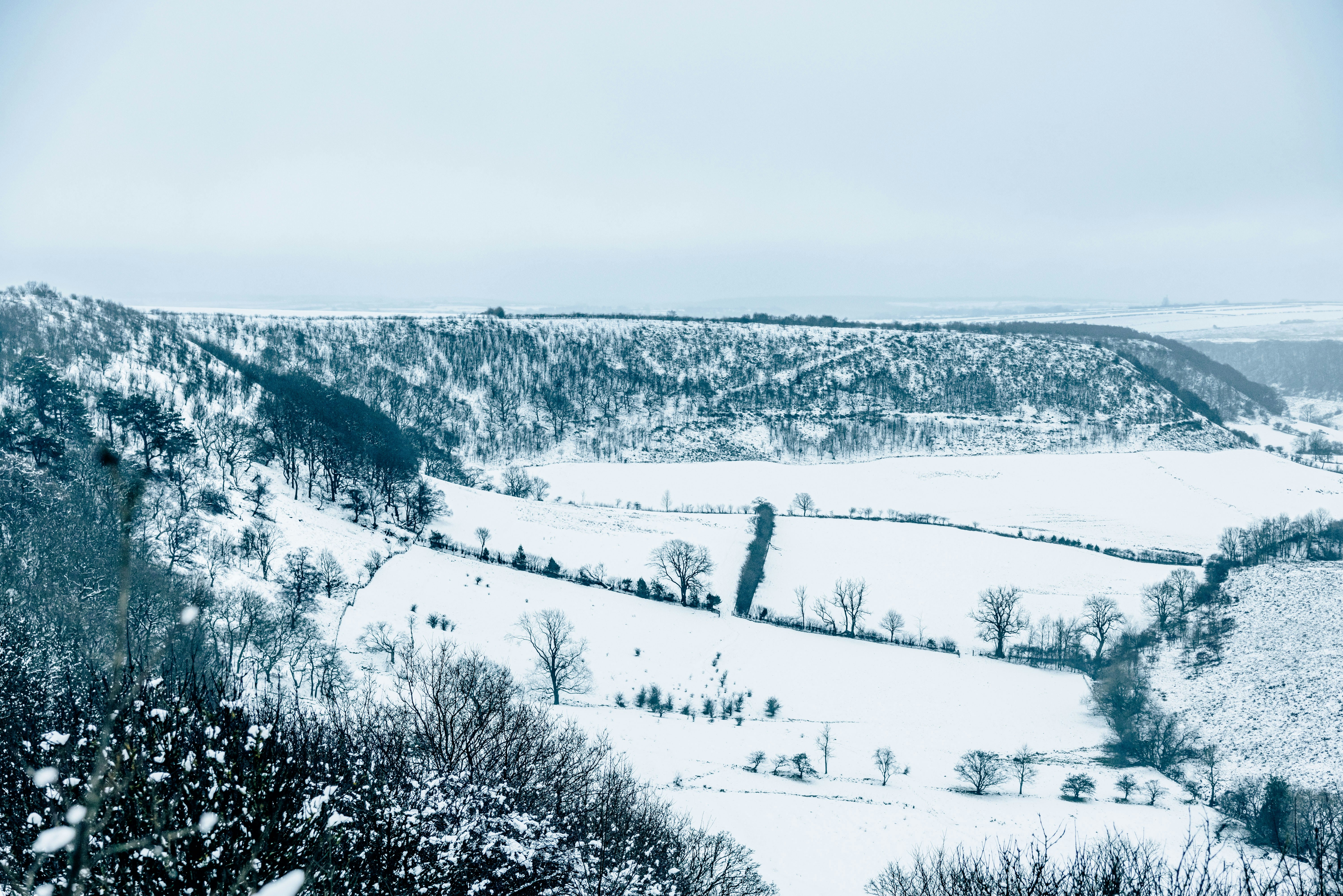 Photo by lukethorntonofficial