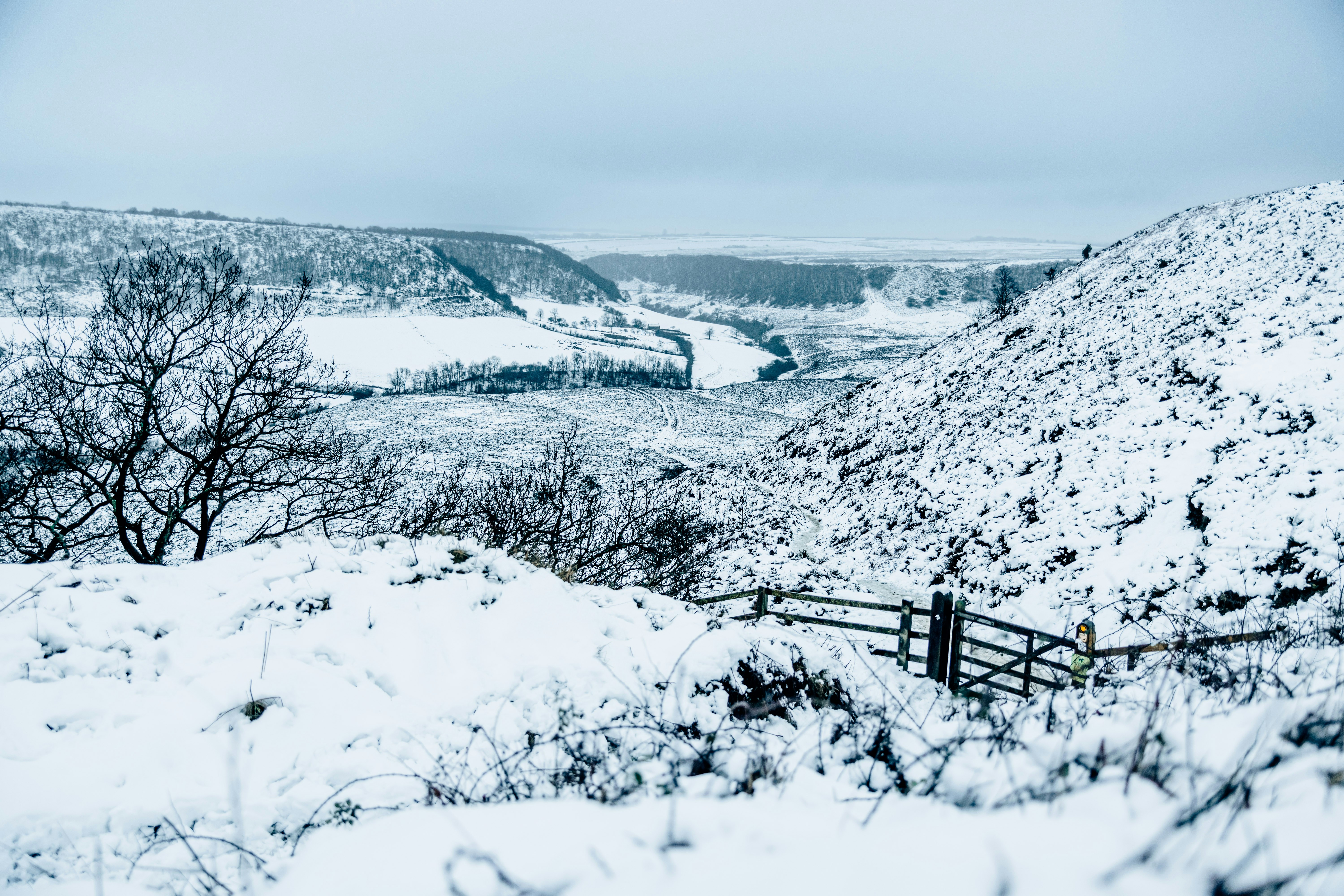 Photo by lukethorntonofficial