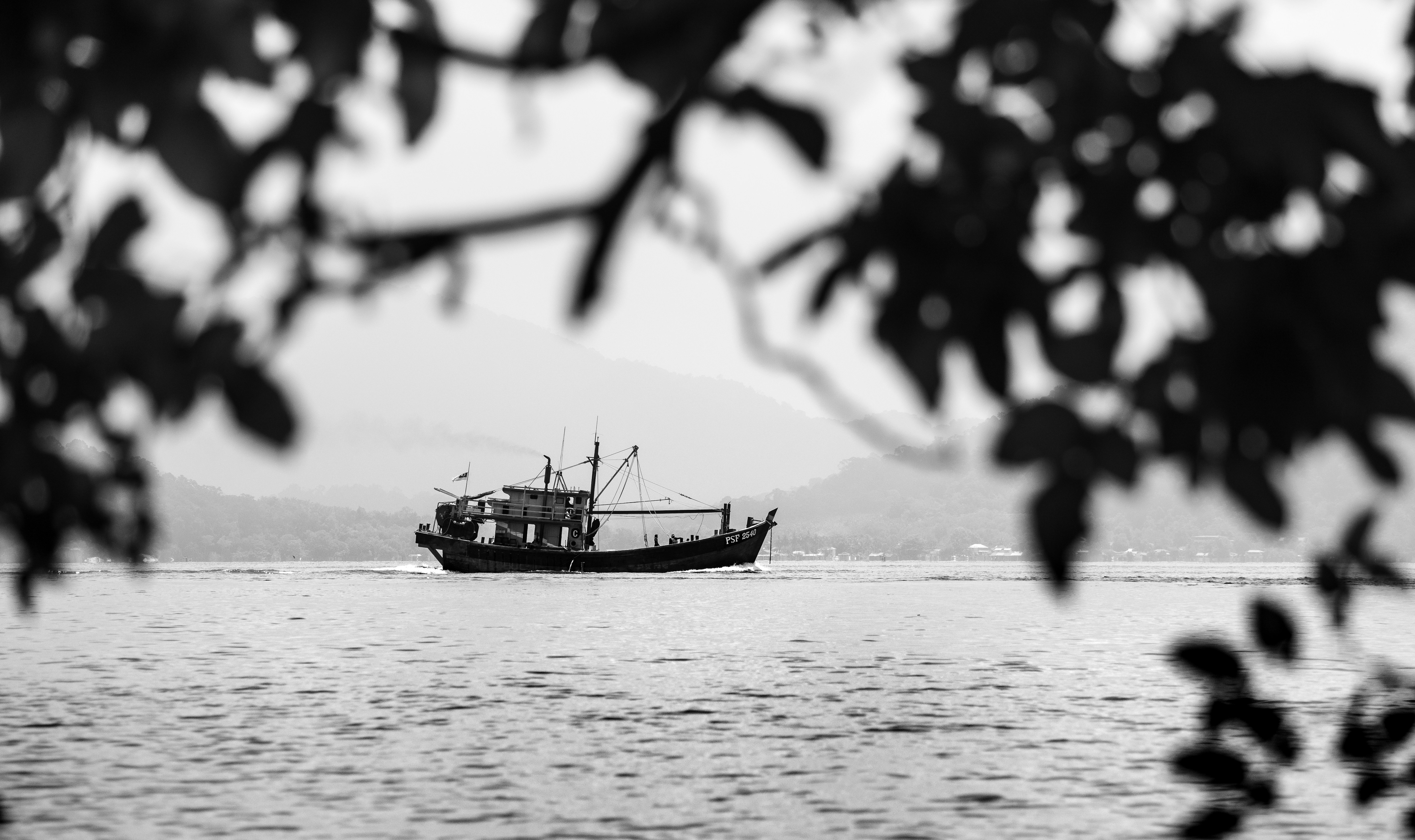 Photo by marekpiwnicki